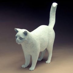 Luna, gatto con gli occhi di vetro 3/10