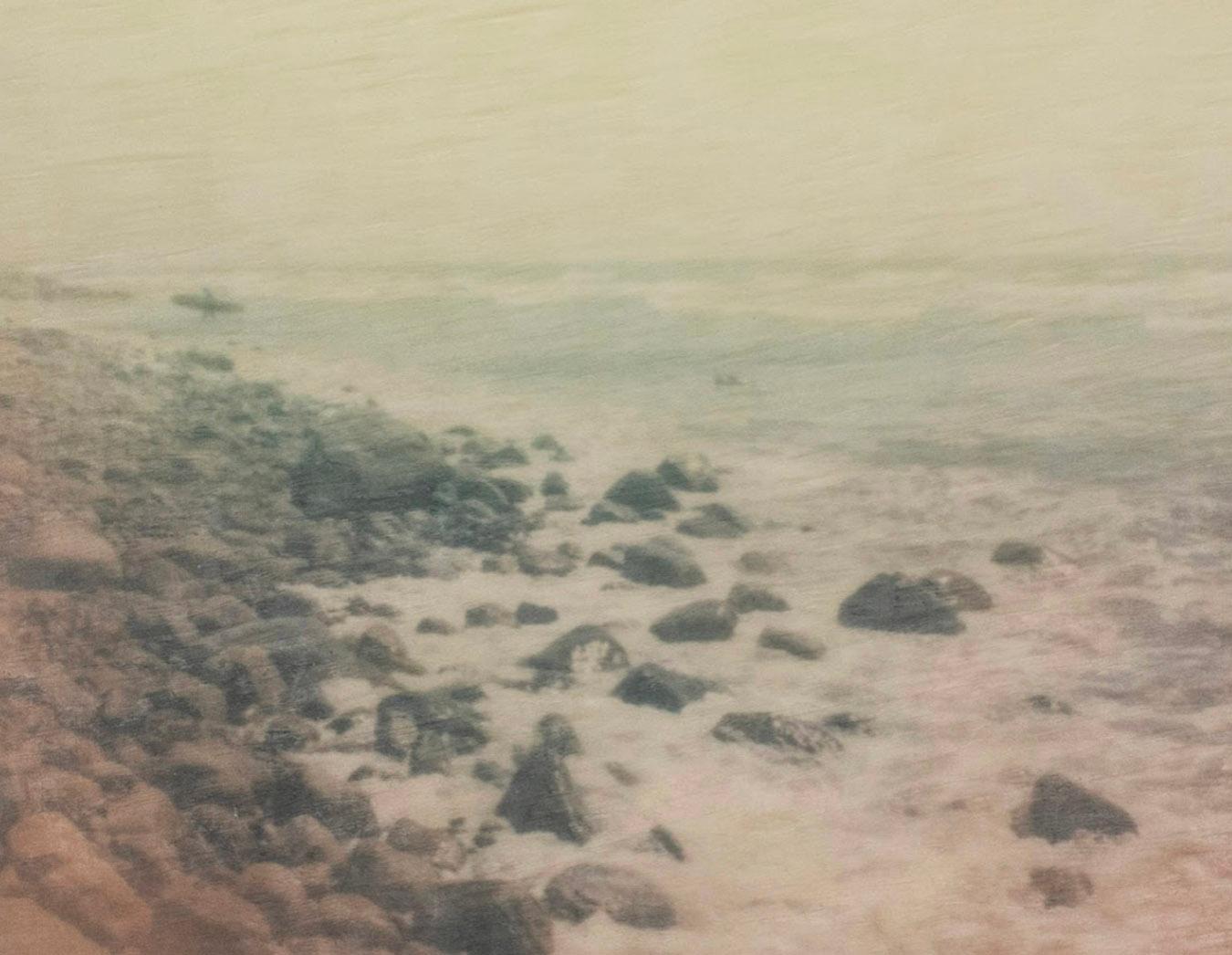 Lotto sterrato - Landscape Photograph Beige di Shawn Ehlers