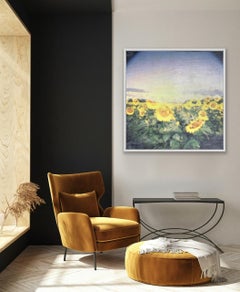 "Ode to the Sun", Summer beauty. Encaustic wax & polaroid on wood board.