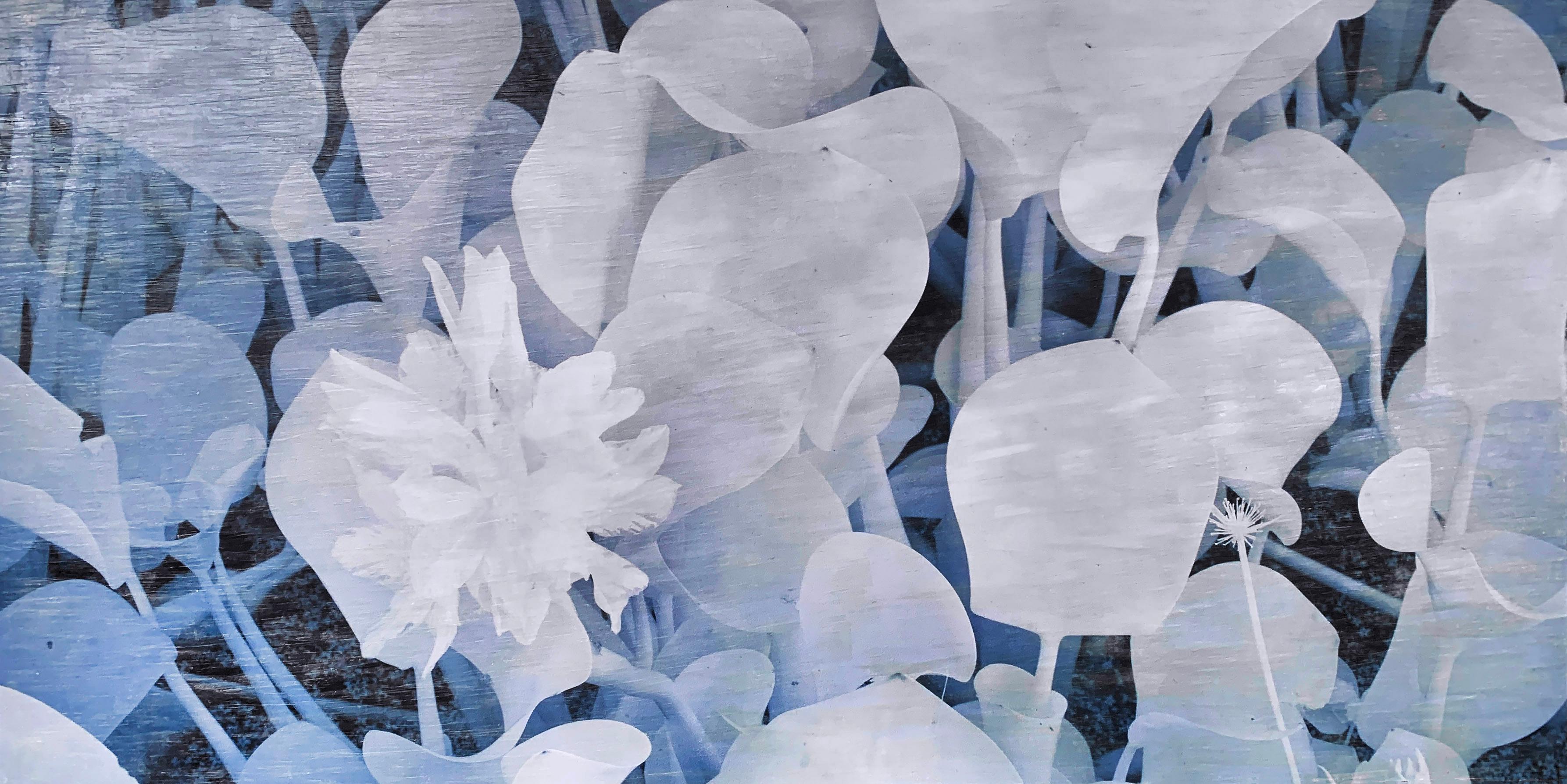 Nenúfares - Photograph Contemporáneo de Shawn Ehlers