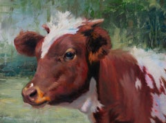 Shawn Faust, "Youngin II", 24x24 Cow Portrait Oil Painting on Canvas