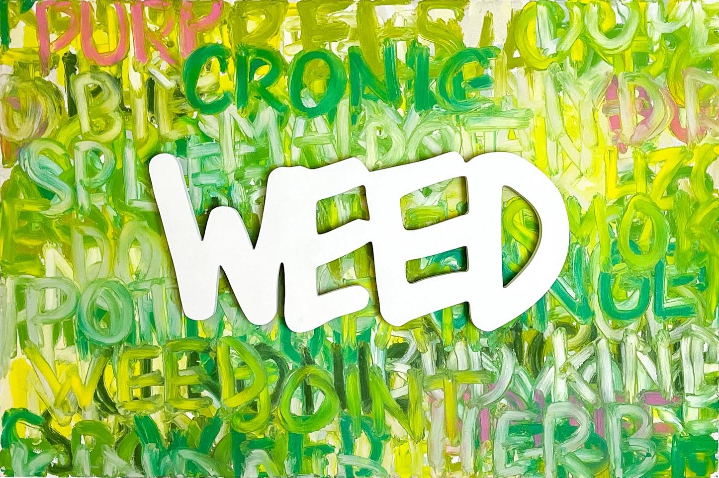 "Weed" Mixed media on wood 20" x 30" x 3" inch by Shawn Kolodny