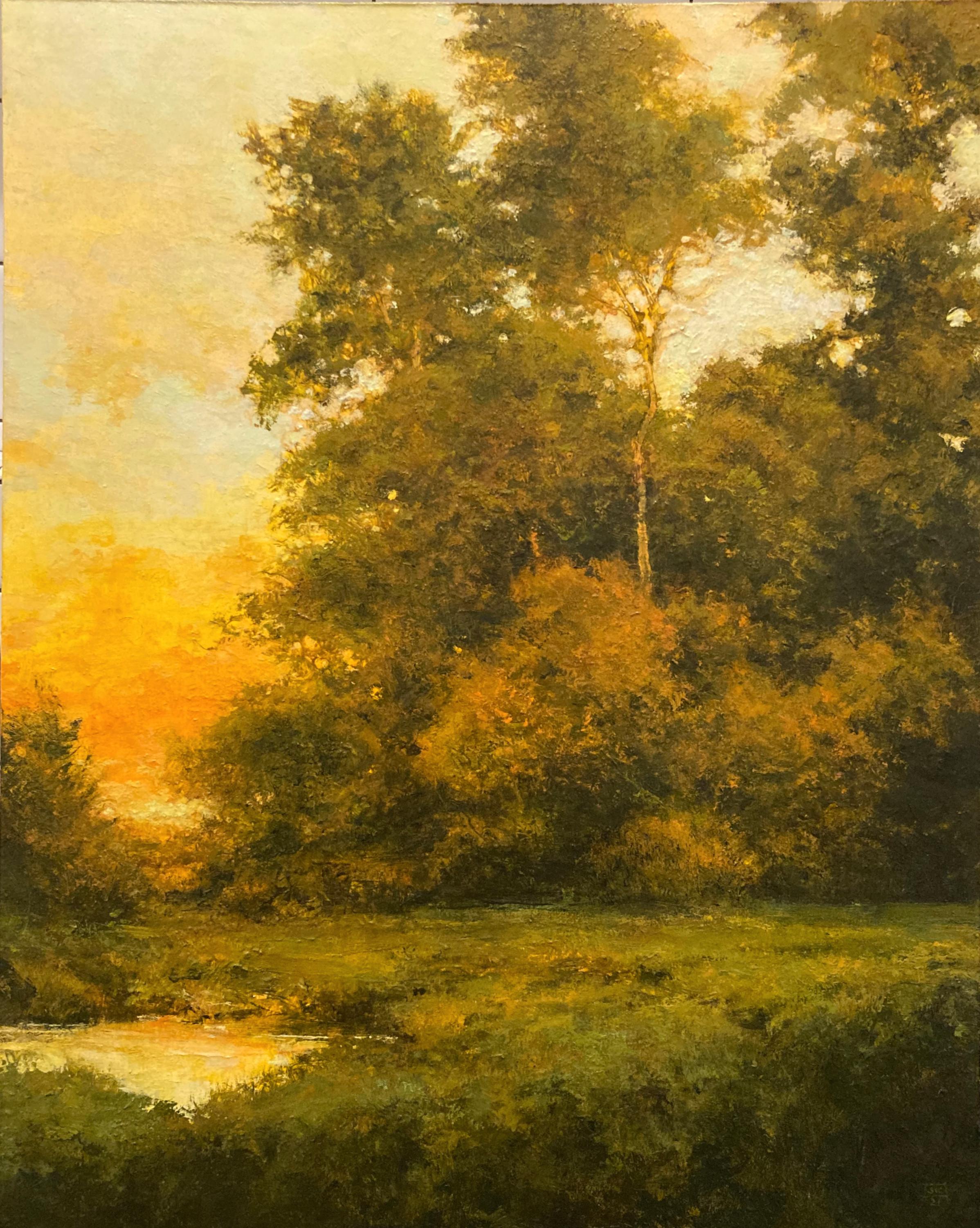 Figurative Painting Shawn Krueger - "Evening, Broad Marsh", Peinture à l'huile