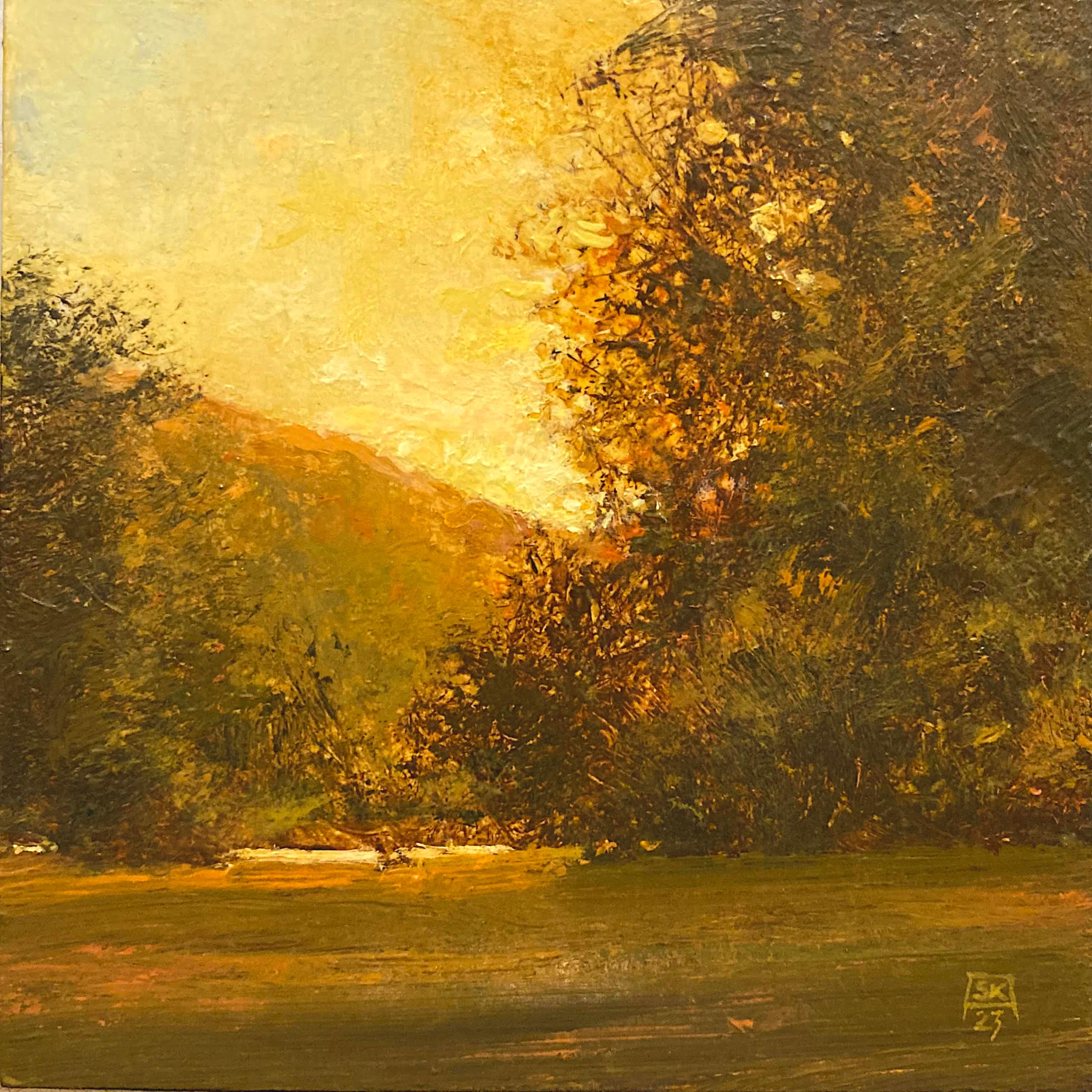 Sera, Pittura a olio originale - Painting Realismo di Shawn Krueger