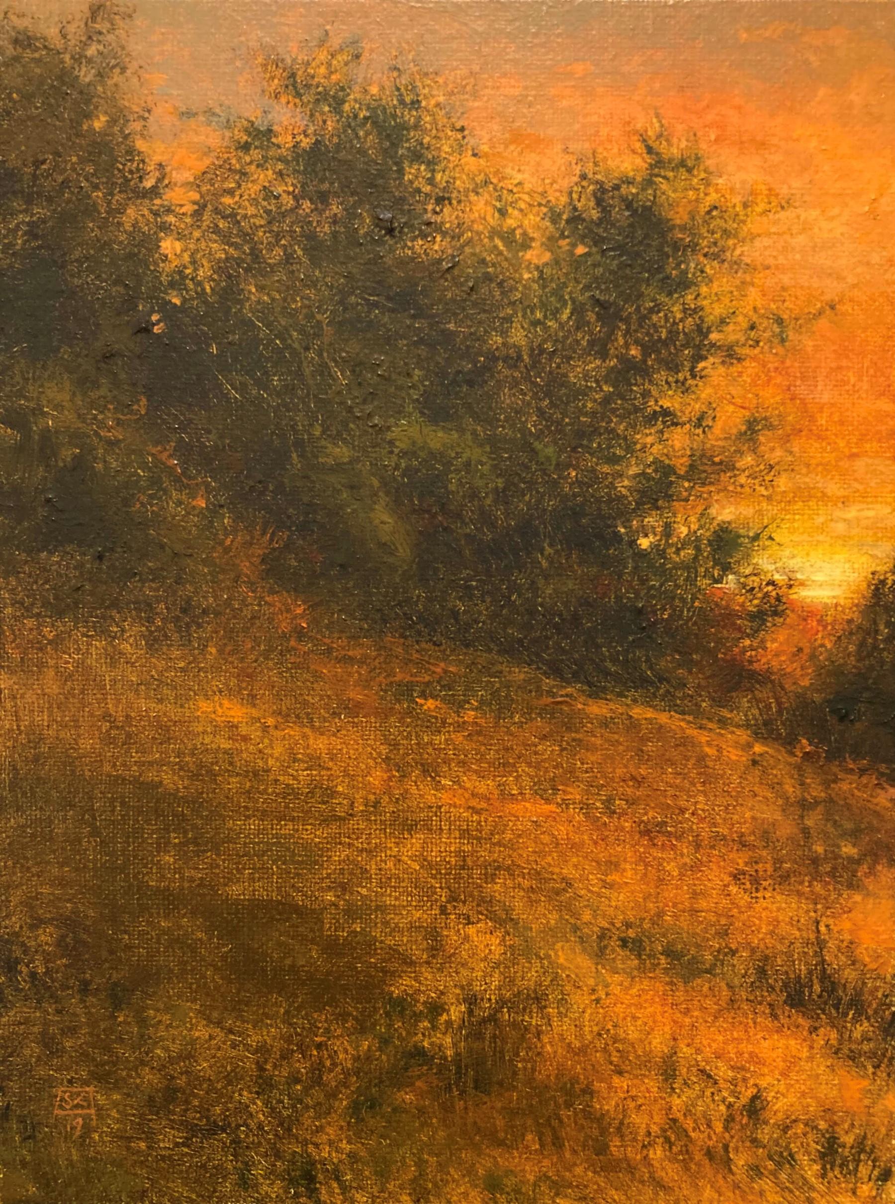 Shawn Krueger Landscape Painting - "Hillside at Sundown, " Original Autumn Landscape Oil Painting