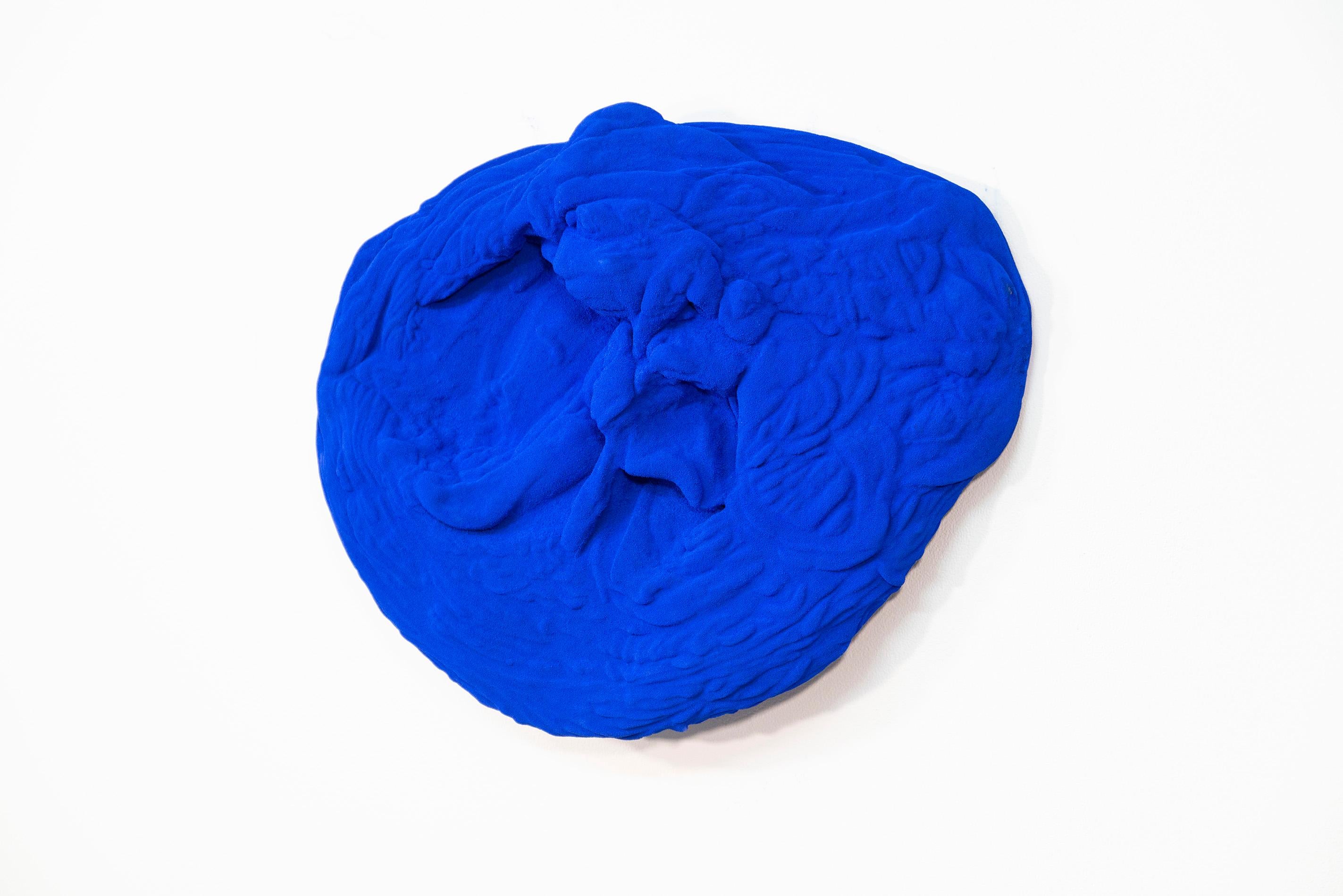 Blue Matter 1 - matte, blue, textured, abstract, mixed media wall sculpture - Contemporary Mixed Media Art by Shayne Dark
