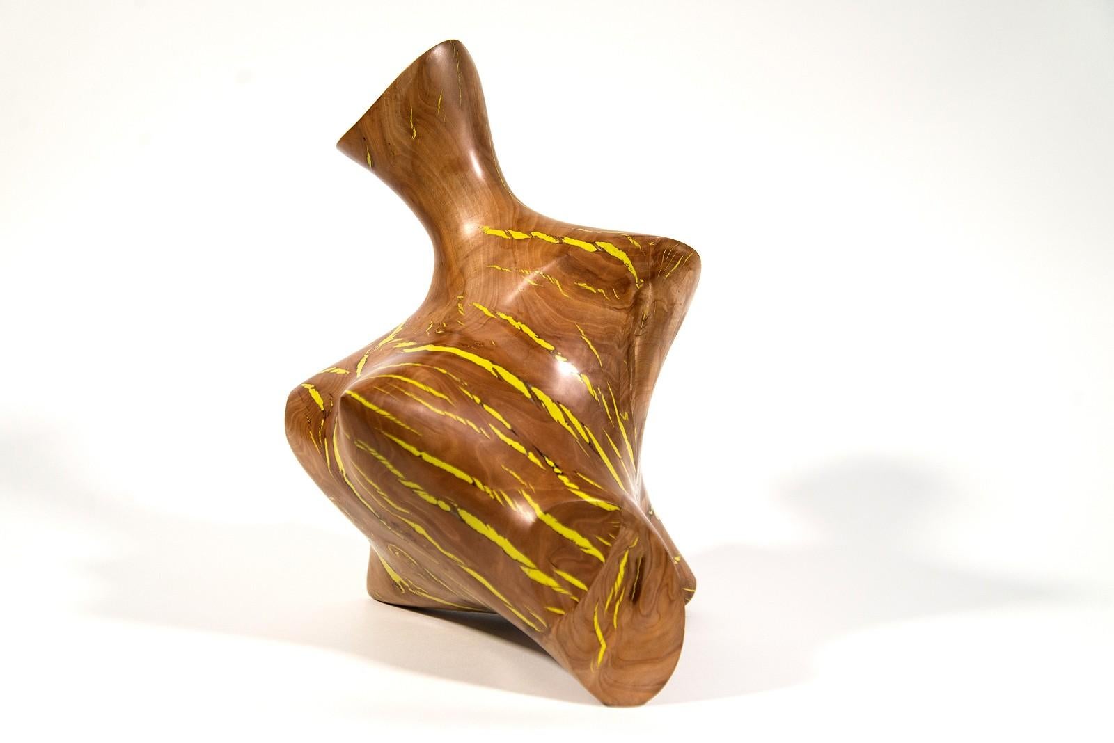 Windfall Series II No 1 - smooth, carved, abstract, Applewood & resin sculpture - Contemporary Sculpture by Shayne Dark
