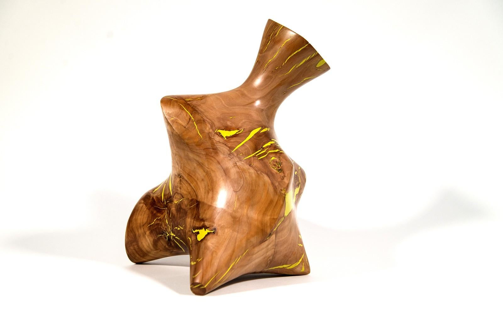 Windfall Series II No 1 - smooth, carved, abstract, Applewood & resin sculpture For Sale 1