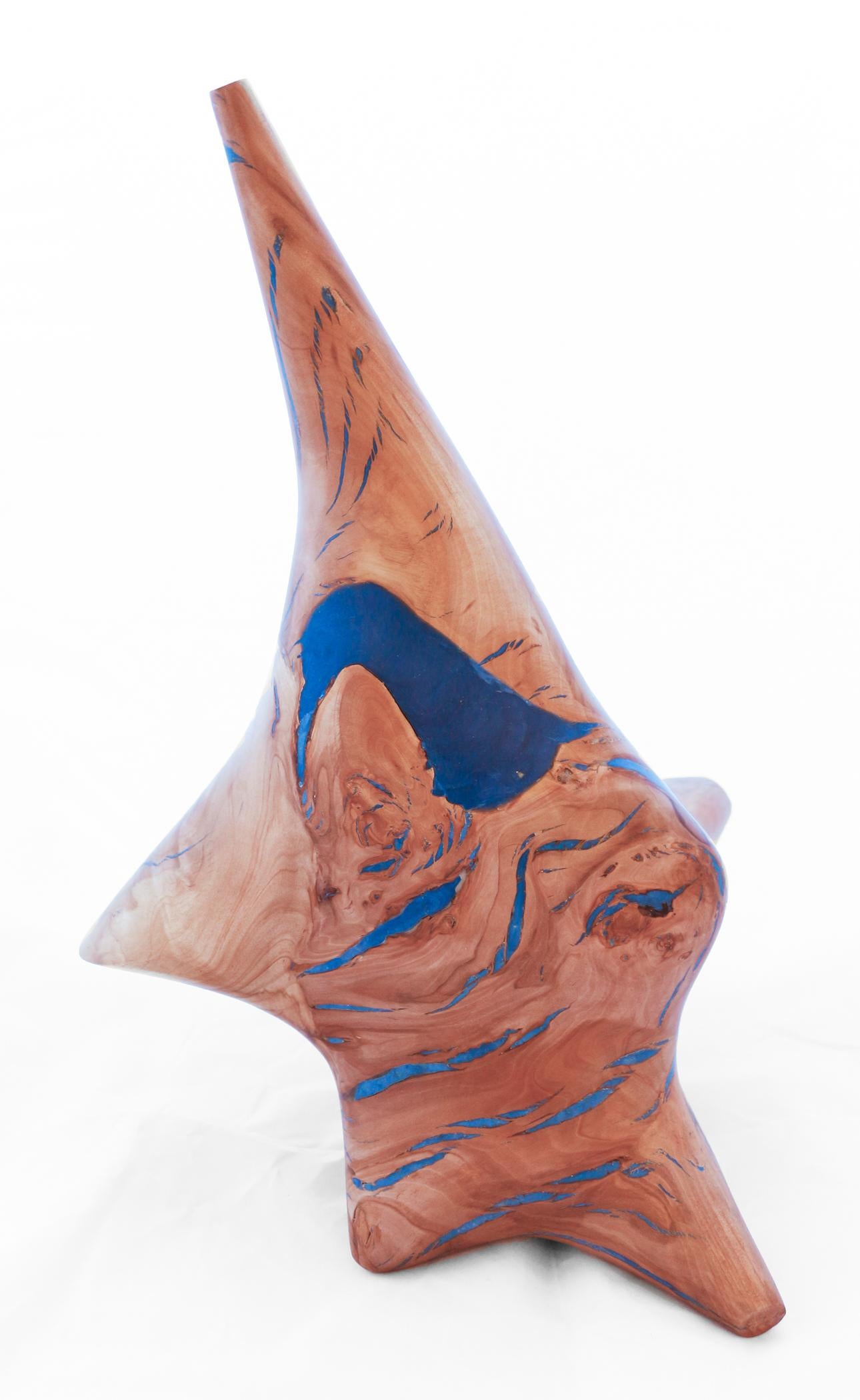 Windfall Series II No. 4 (Zeitgenössisch), Sculpture, von Shayne Dark