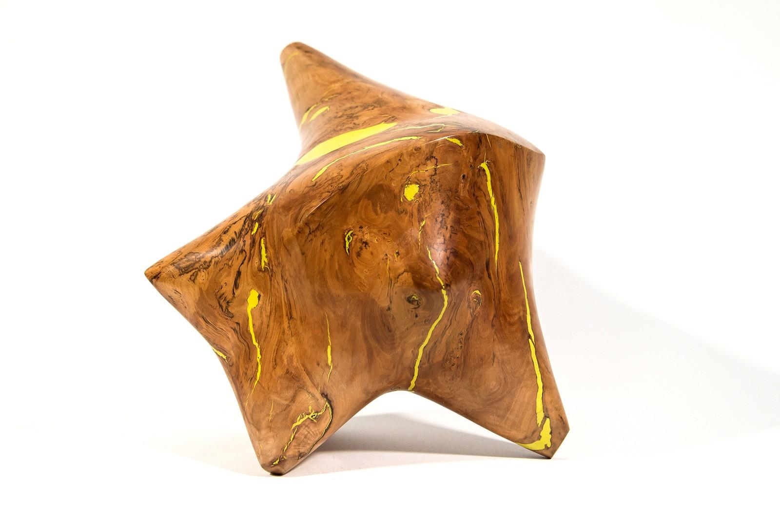Série Windfall II n° 7 - sculpture lisse, sculptée, abstraite, en bois de pomme et résine - Contemporain Sculpture par Shayne Dark