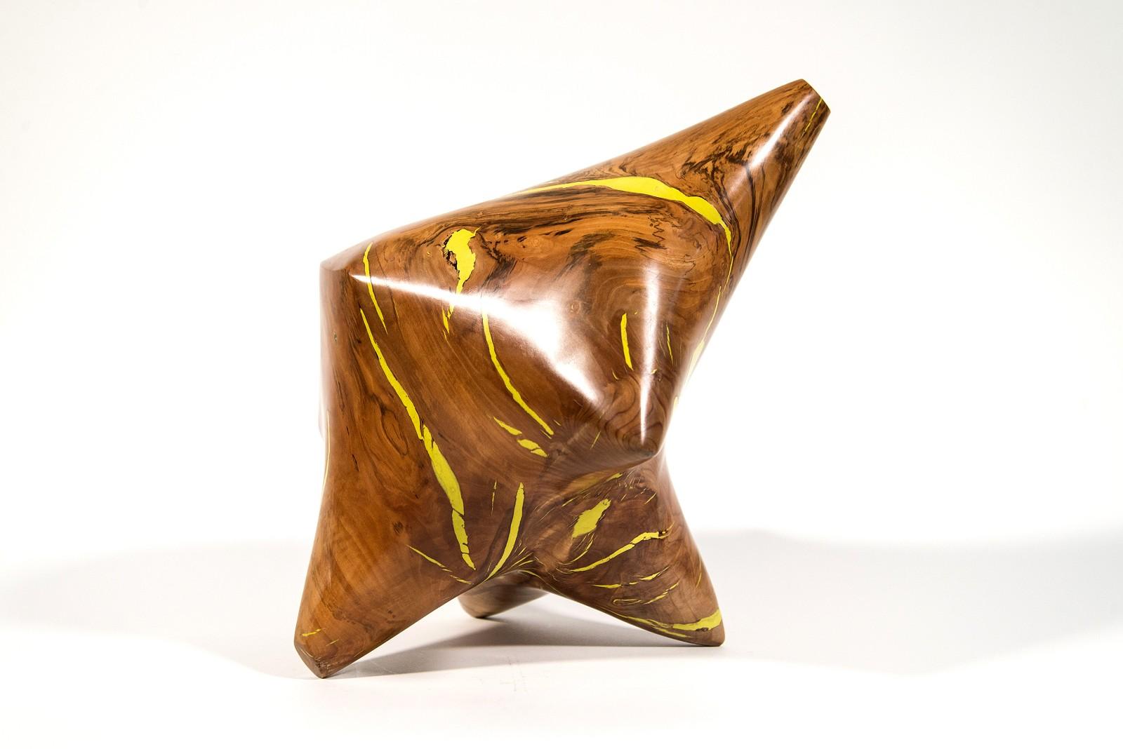 Abstract Sculpture Shayne Dark - Série Windfall II n° 7 - sculpture lisse, sculptée, abstraite, en bois de pomme et résine