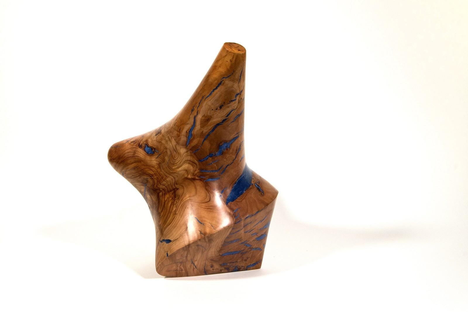 Windfall Series II No 8 - smooth, carved, abstract, Applewood & resin sculpture - Contemporary Sculpture by Shayne Dark