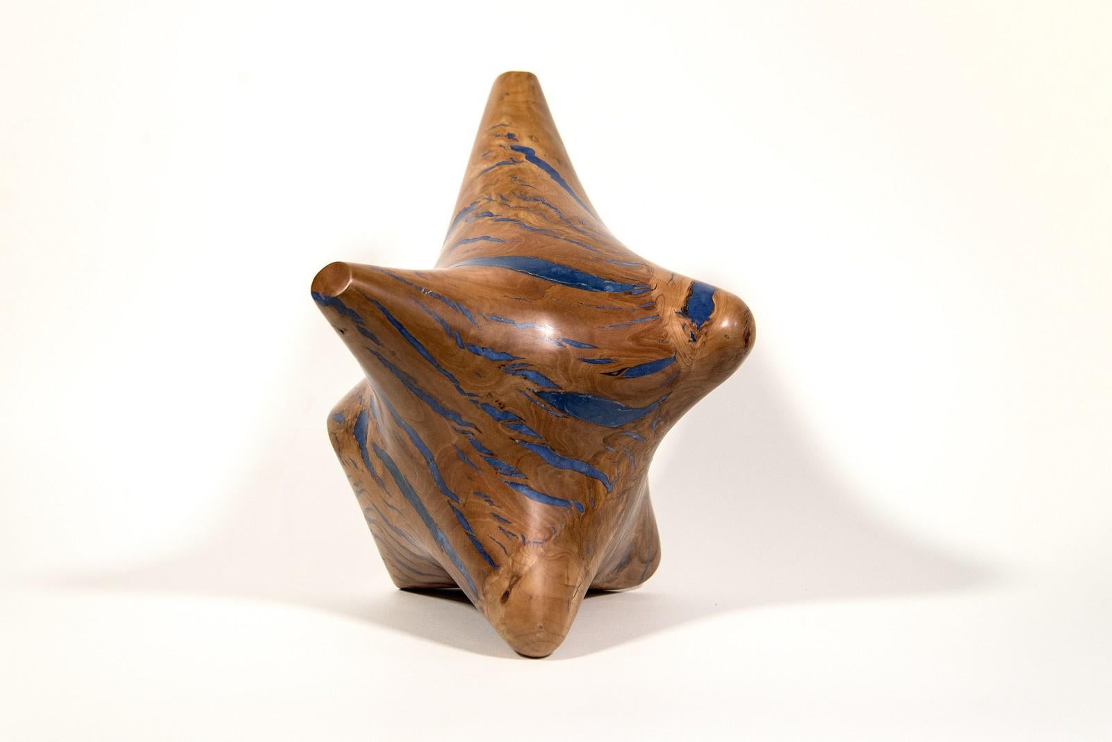 Série Windfall II n° 8 - sculpture lisse, sculptée, abstraite, en bois de pomme et résine en vente 1