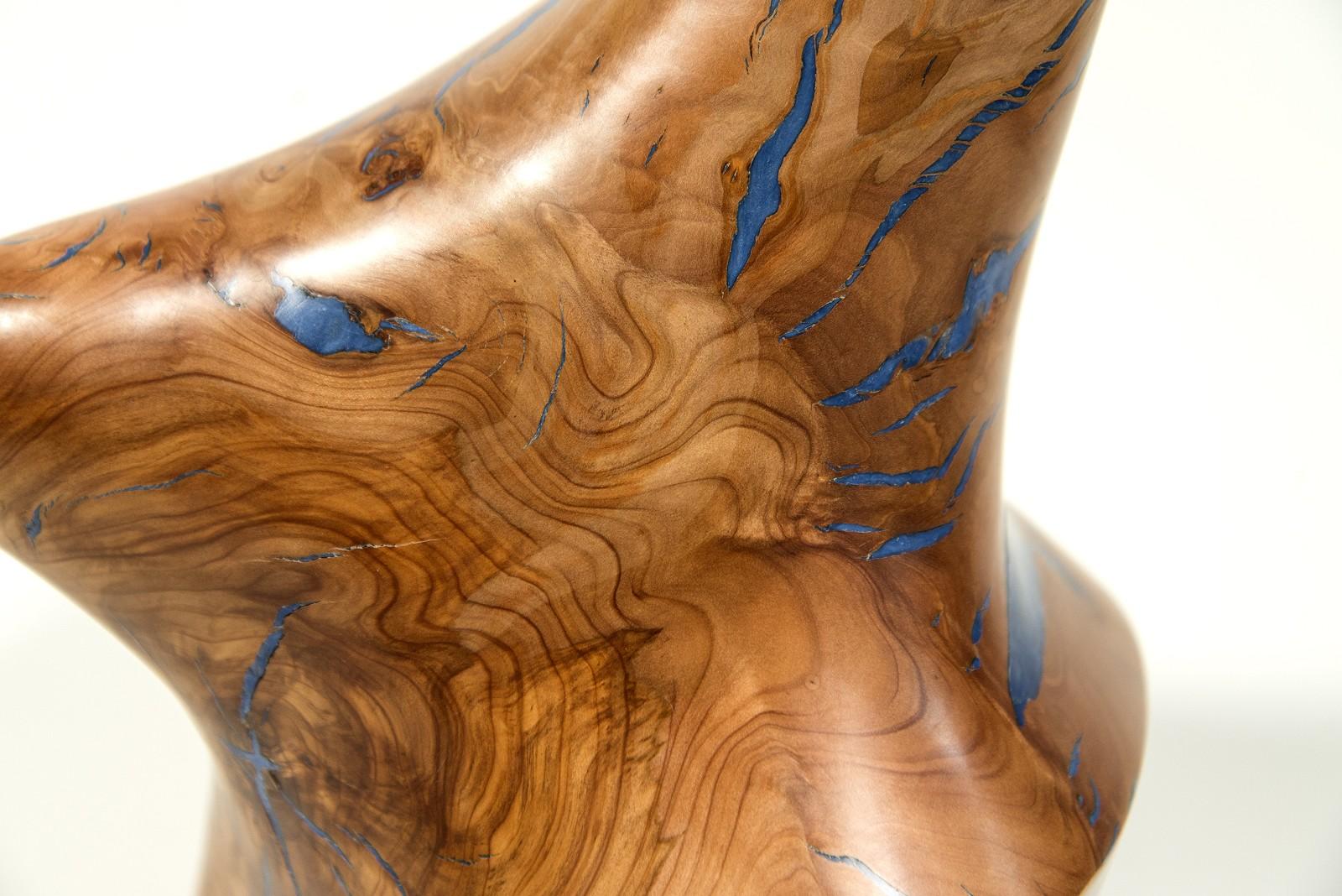 Windfall Series II No 8 - smooth, carved, abstract, Applewood & resin sculpture For Sale 2