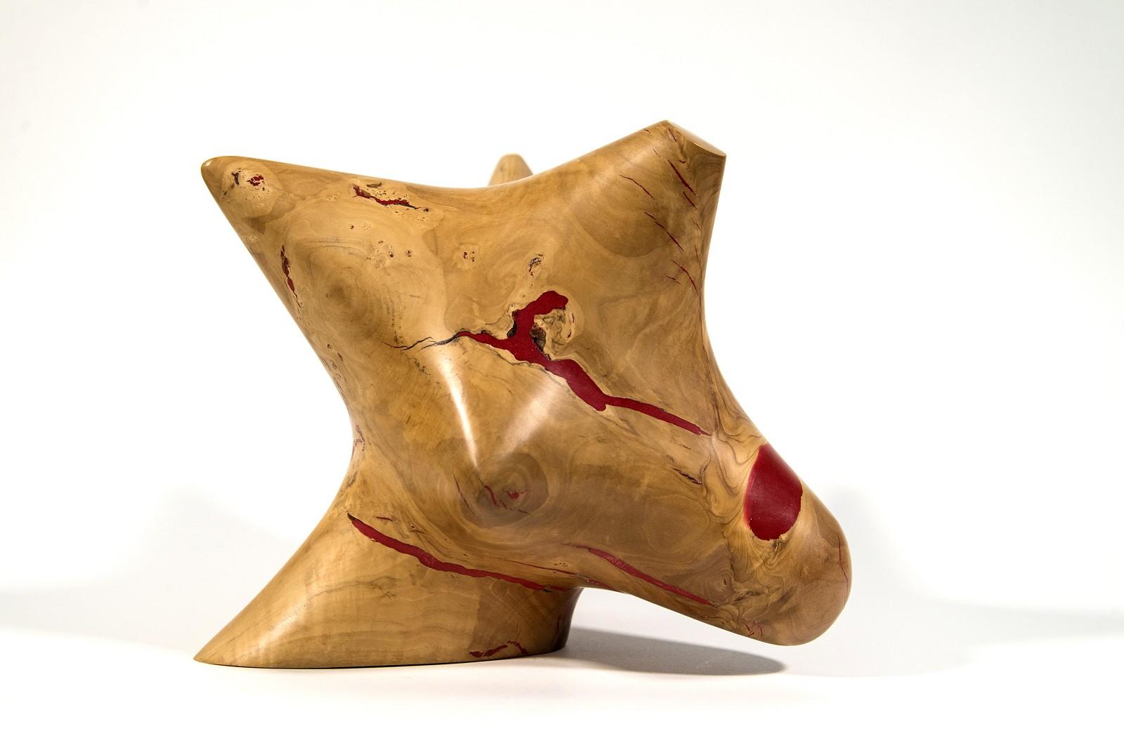 Windfall Series II No 9 - smooth, carved, abstract, Applewood & resin sculpture - Sculpture by Shayne Dark