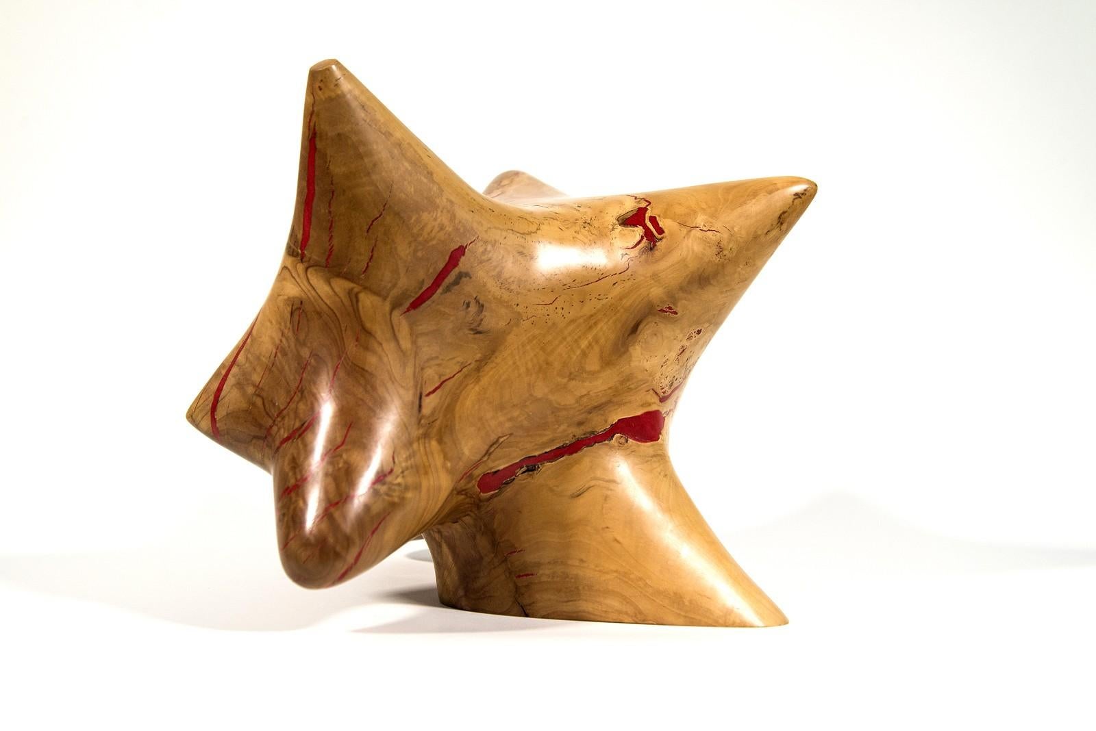 Windfall Series II No 9 - smooth, carved, abstract, Applewood & resin sculpture - Contemporary Sculpture by Shayne Dark