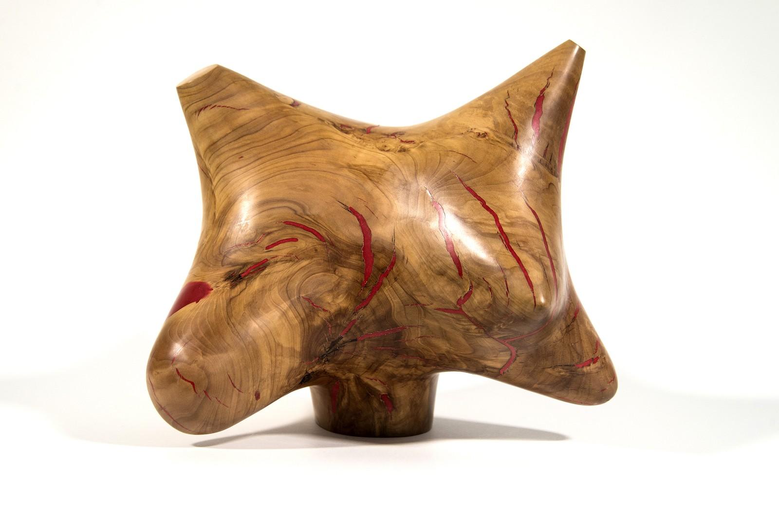 Abstract Sculpture Shayne Dark - Série Windfall II n° 9 - sculpture lisse, sculptée, abstraite, en bois de pomme et résine