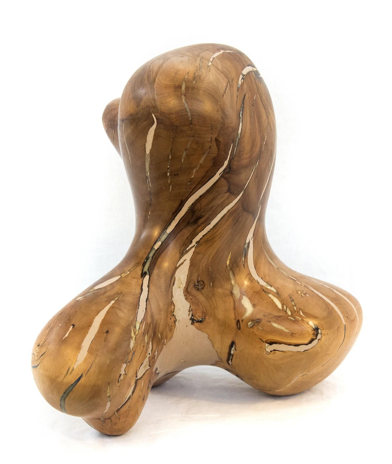 Windfall Series No 03 - small, smooth, abstract, natural wood carved sculpture - Sculpture by Shayne Dark