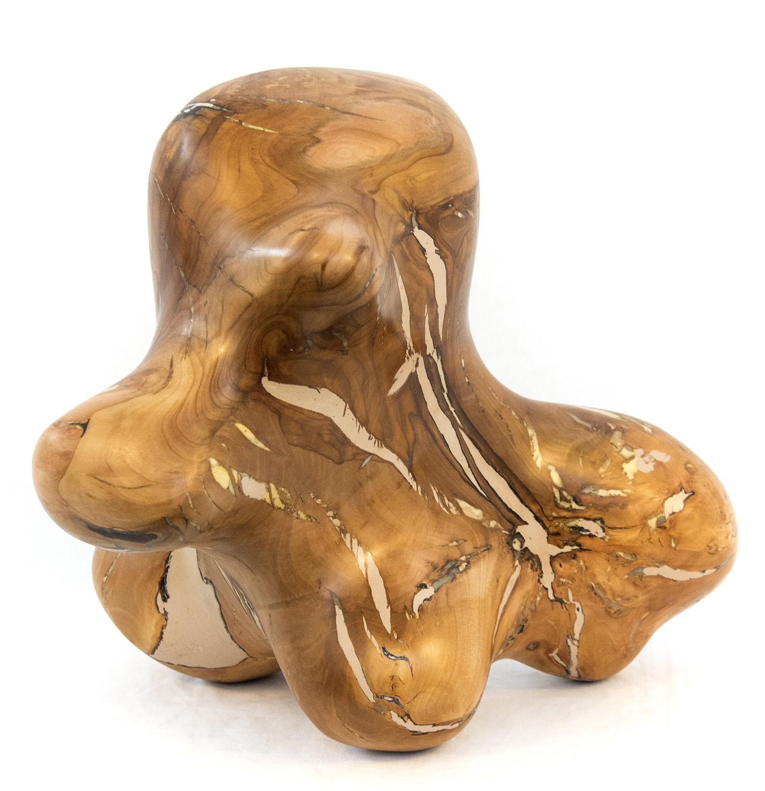 Shayne Dark Abstract Sculpture - Windfall Series No 03 - small, smooth, abstract, natural wood carved sculpture