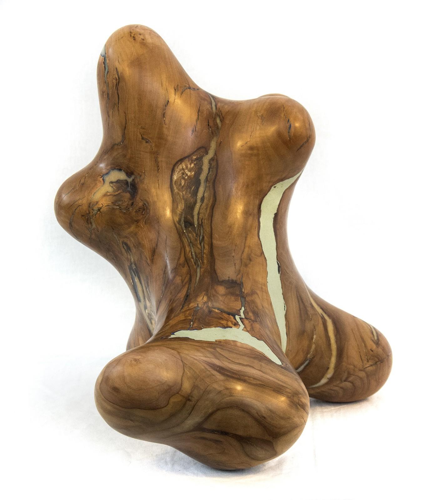 Windfall-Serie Nr. 06 – abstrakte geschnitzte Skulptur aus Naturholz, glatt, poliert (Zeitgenössisch), Sculpture, von Shayne Dark