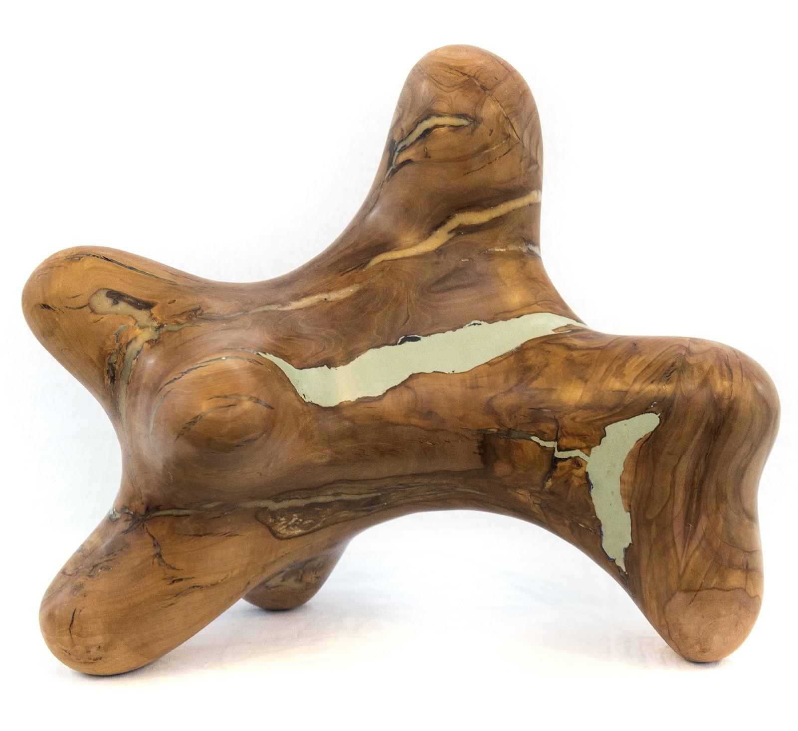 Questa serie di otto sculture astratte di Shayne Dark è realizzata con bave di melo raccolte nei meleti della Contea di Prince Edward. 