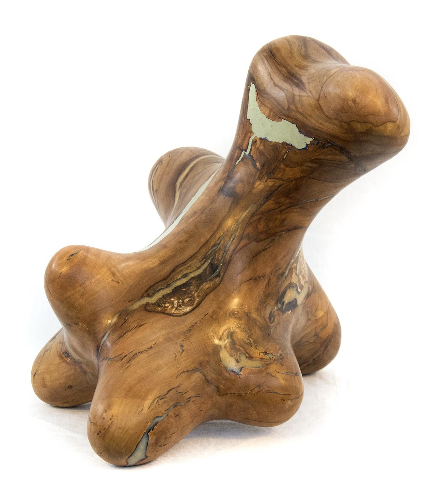 Windfall Series No 06 - smooth, polished, natural wood abstract carved sculpture