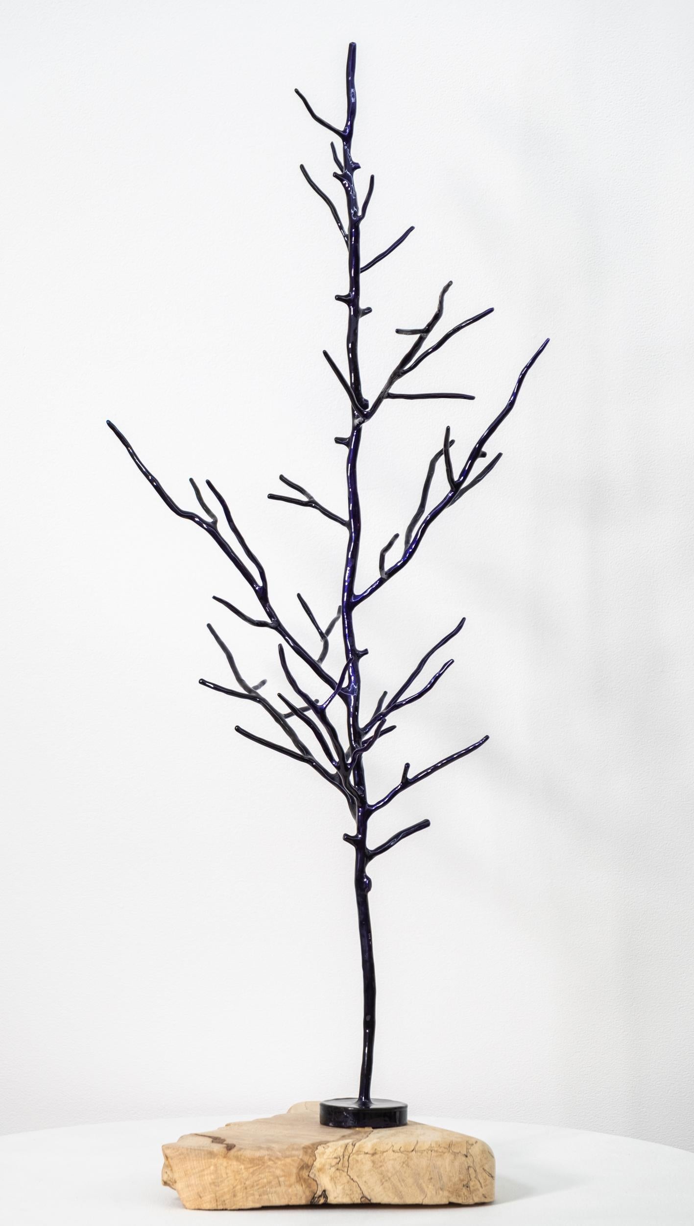 Winter-Purple Tree - scultura figurativa, contemporanea, in acciaio verniciato a polvere - Sculpture di Shayne Dark