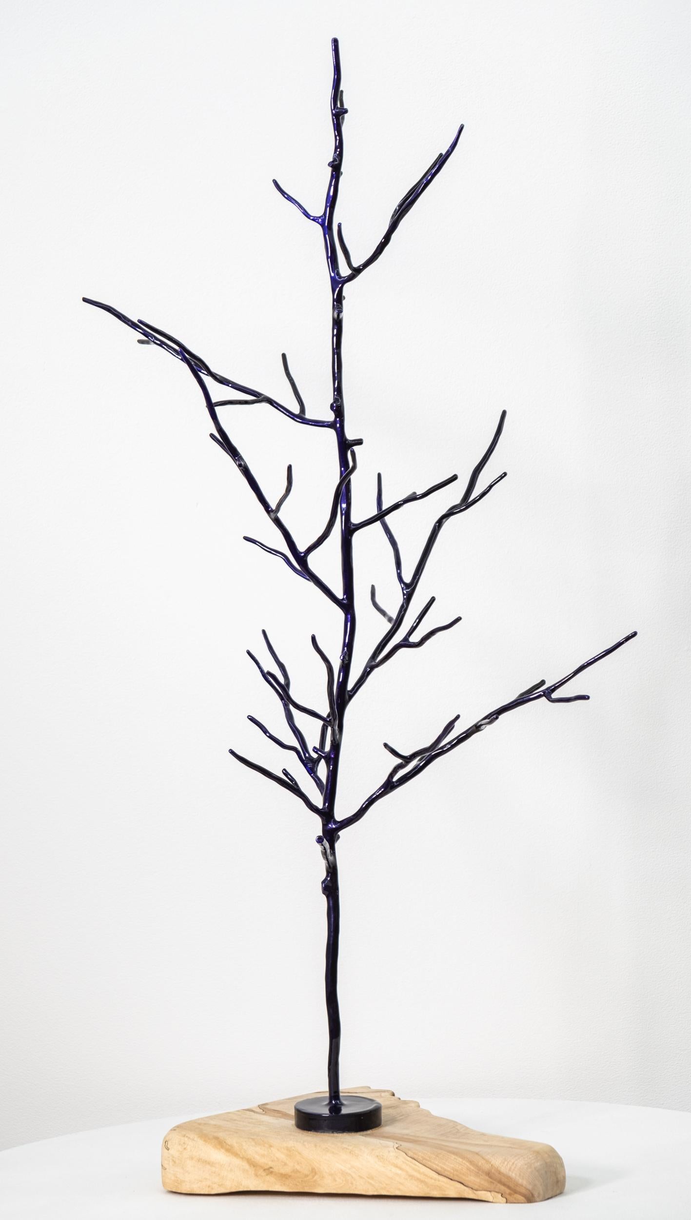Winter-Purple Tree - scultura figurativa, contemporanea, in acciaio verniciato a polvere - Sculpture Contemporaneo di Shayne Dark