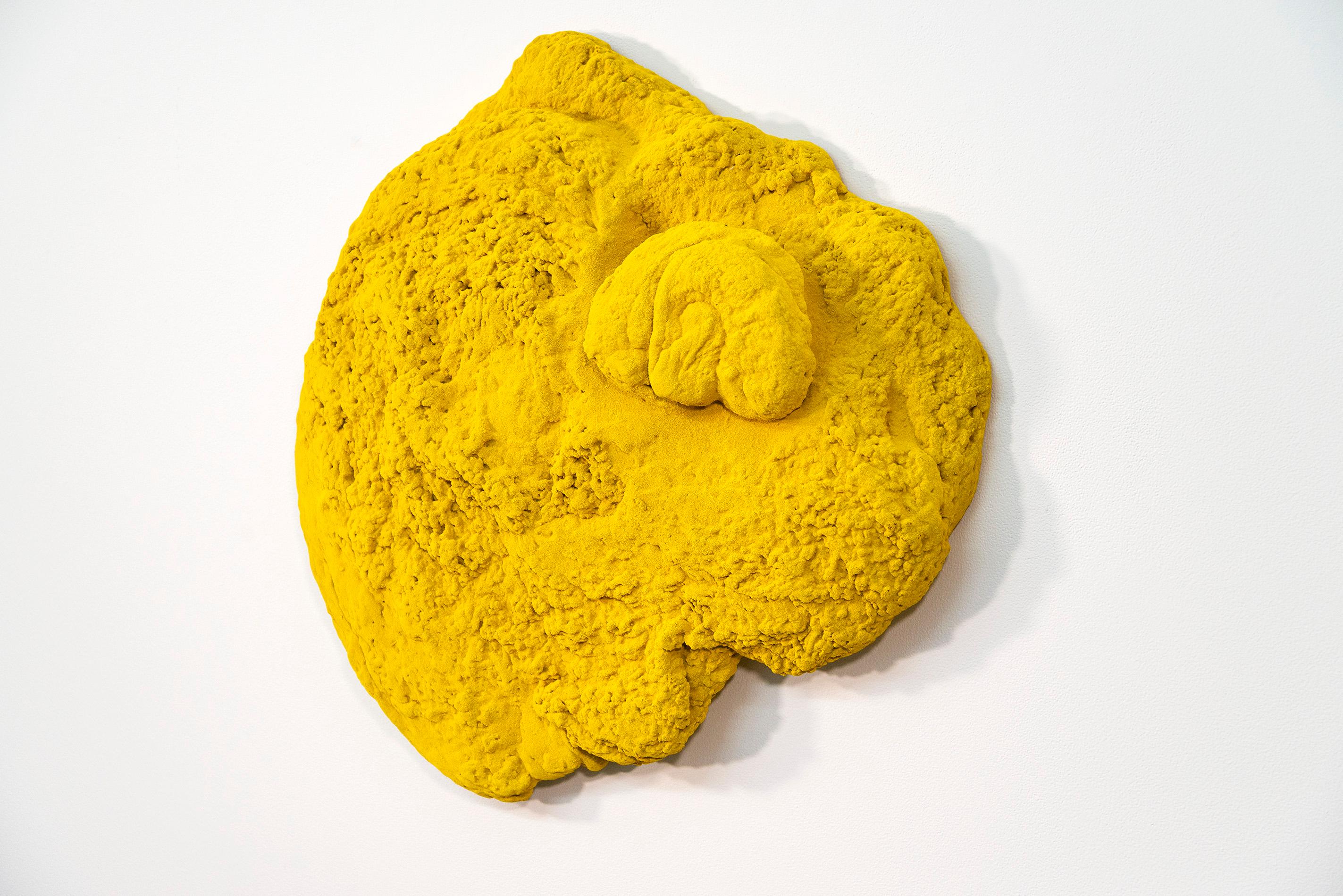 jaune mat, texturé, sculpture murale abstraite en techniques mixtes - Sculpture de Shayne Dark