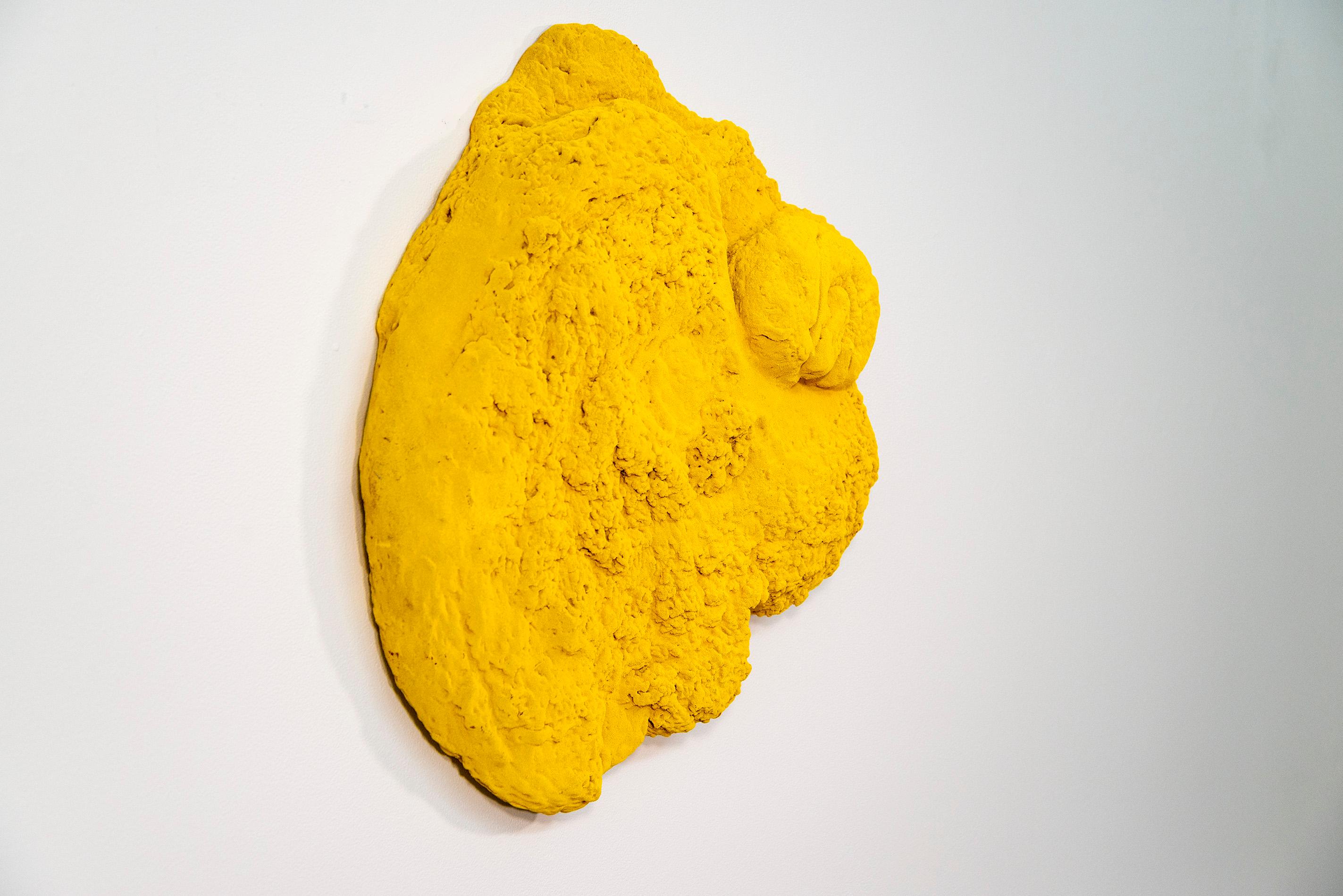 jaune mat, texturé, sculpture murale abstraite en techniques mixtes - Contemporain Sculpture par Shayne Dark