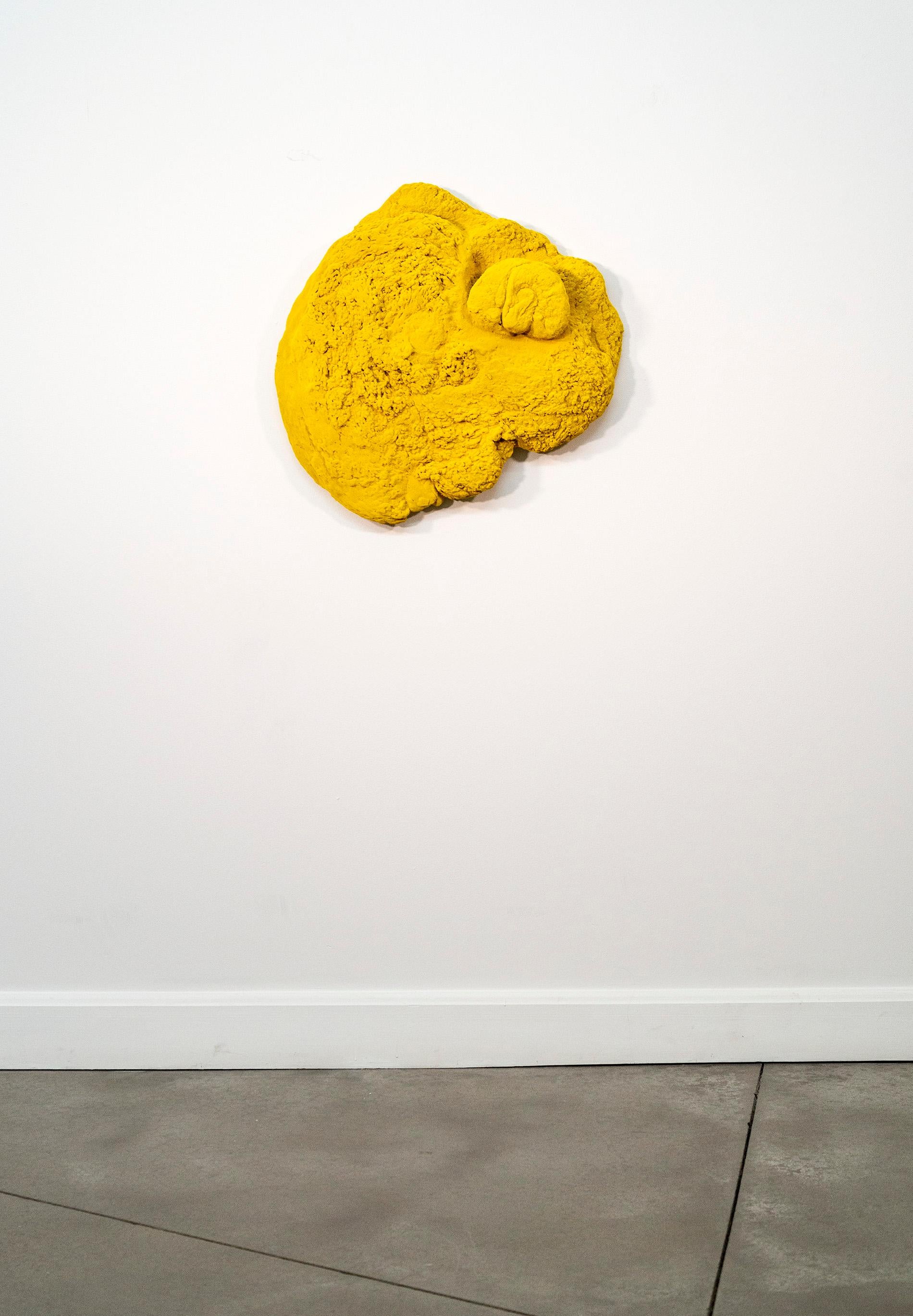 Yellow Matter - bright, matte, textured, abstract, mixed media wall sculpture - Gray Abstract Sculpture by Shayne Dark