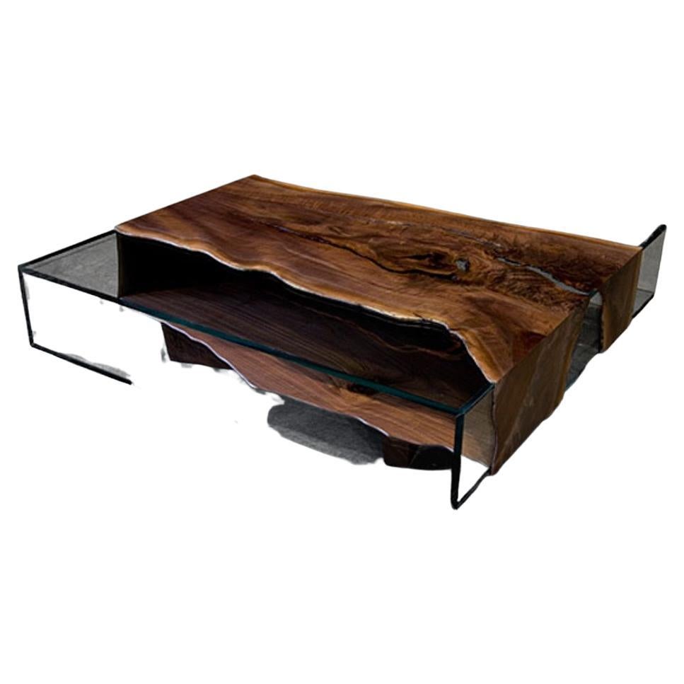 Modern Shazam Glass Low Table with Black Walnut Skin For Sale