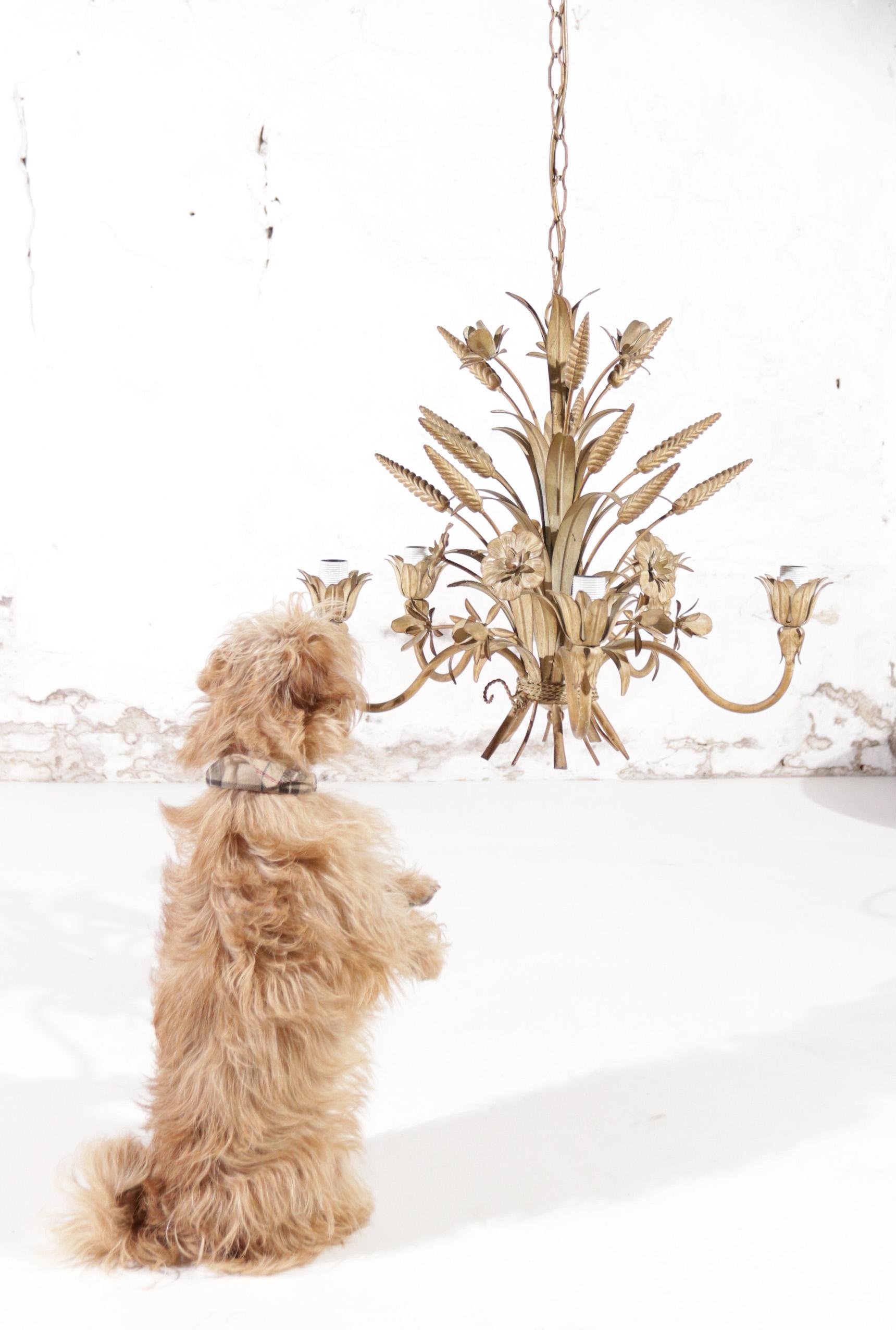 Lámpara de araña Gavilla de trigo Beige Hans Kögl, estilo Maison Charles en venta 5