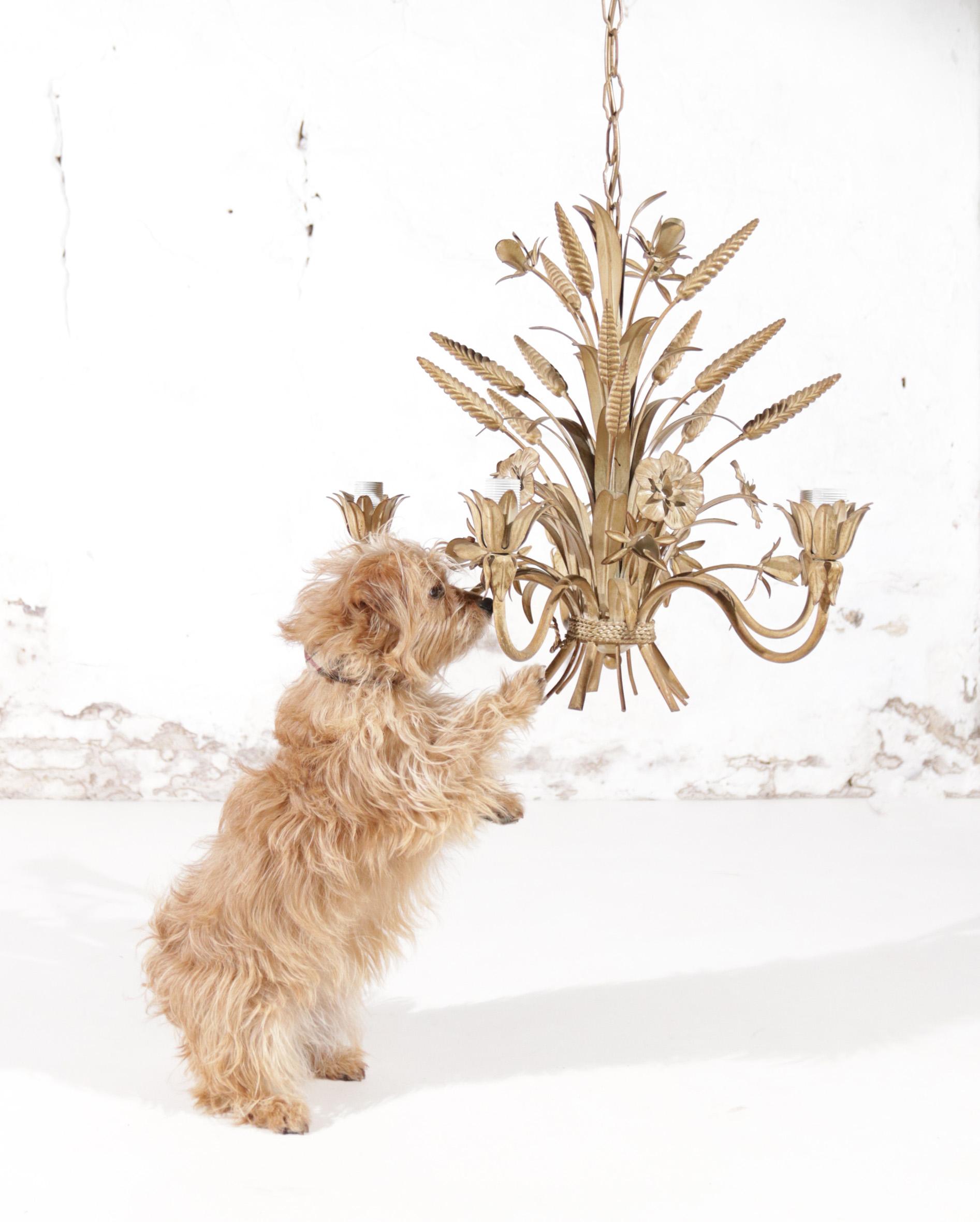 Sheaf of wheat chandelier in de style of Hans Kögl / Maison Charles ca. 1970
Made in a beige white color which makes it a beautiful match in the new styles of interiors where the white shades are a must.

