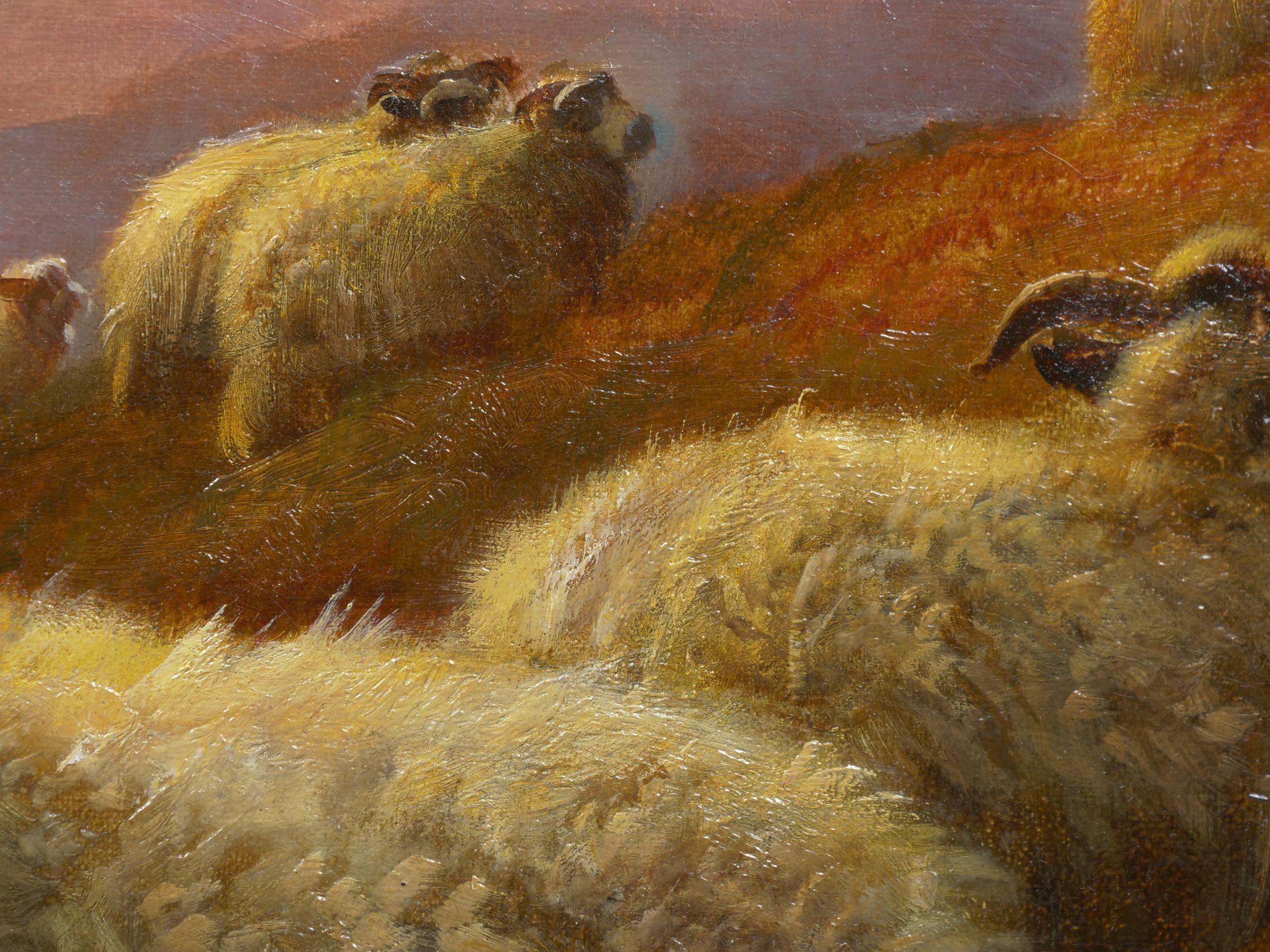 “Sheep at Rest in the Highlands” '1914' Antique Oil Painting by Robert Watson 2