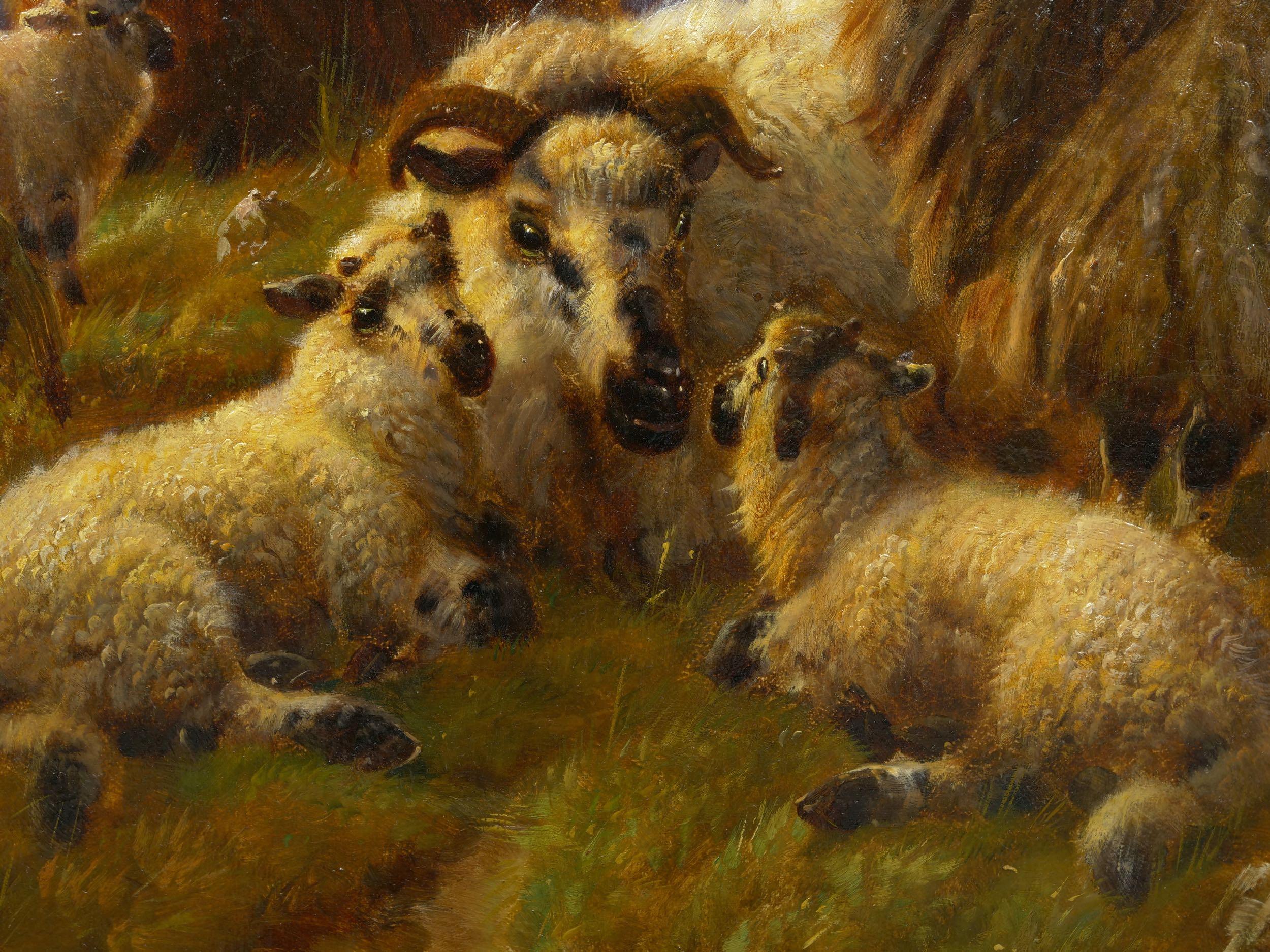 “Sheep at Rest in the Highlands” '1914' Antique Oil Painting by Robert Watson 4