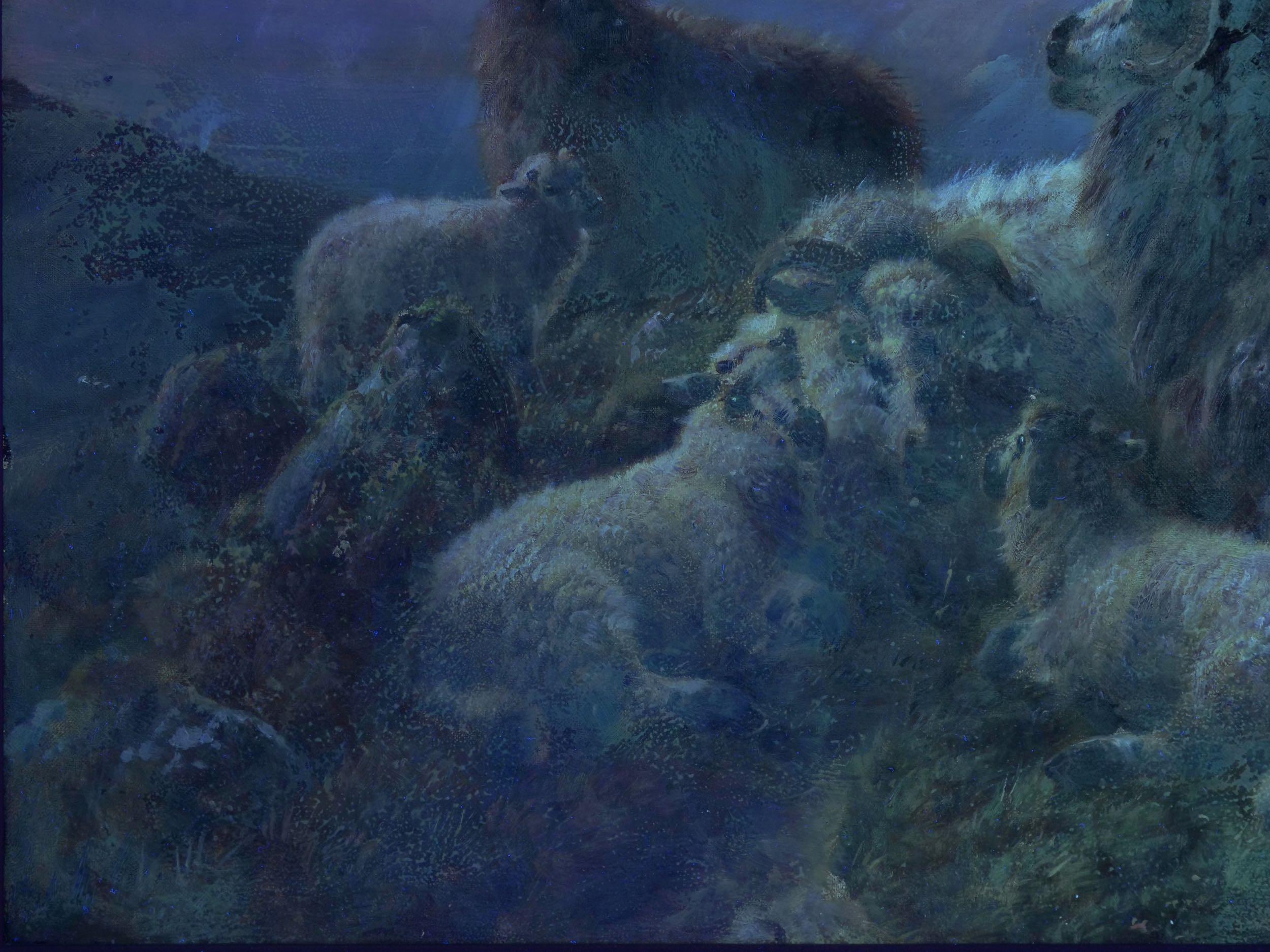 “Sheep at Rest in the Highlands” '1914' Antique Oil Painting by Robert Watson 9
