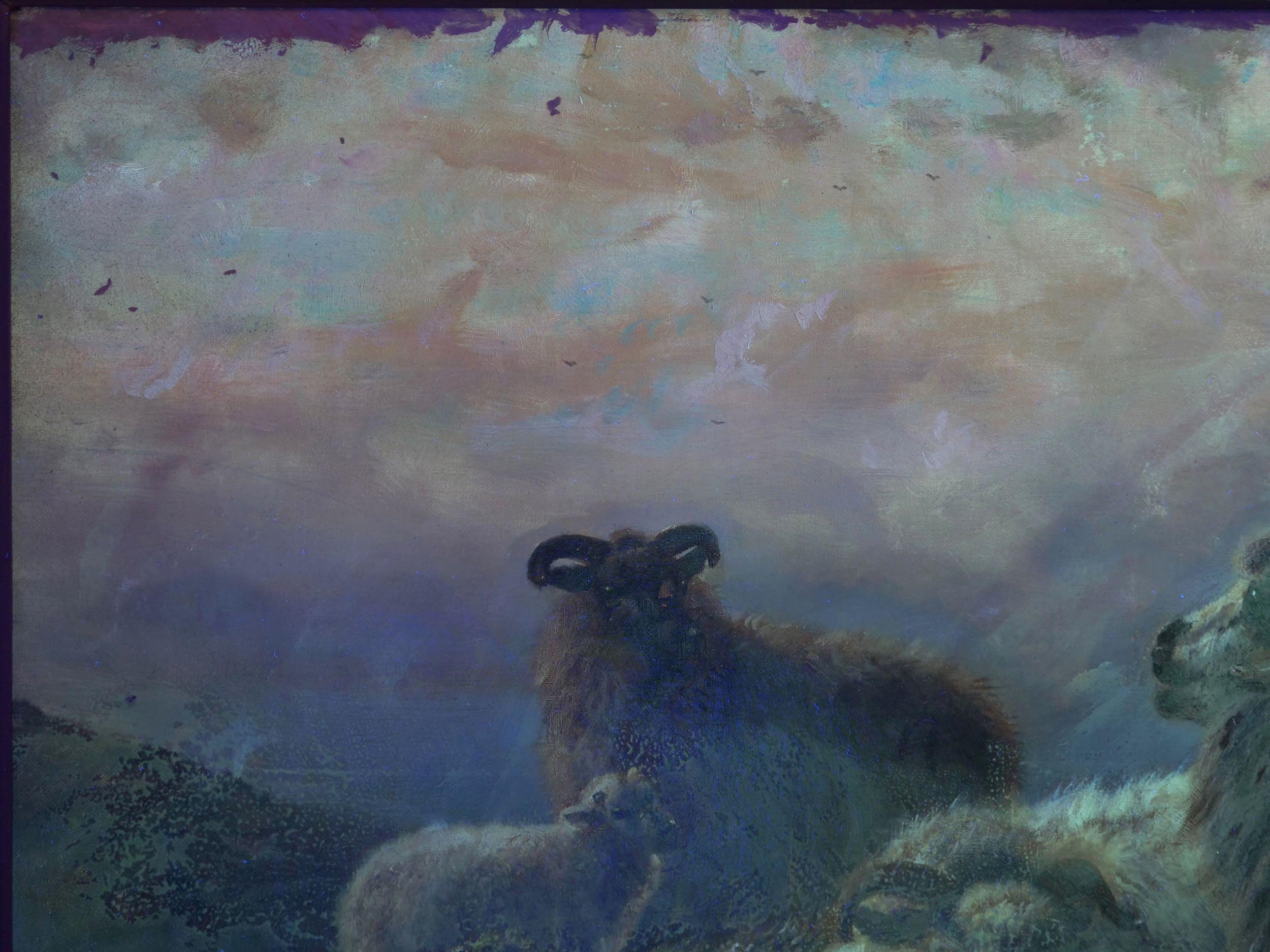 “Sheep at Rest in the Highlands” '1914' Antique Oil Painting by Robert Watson 12