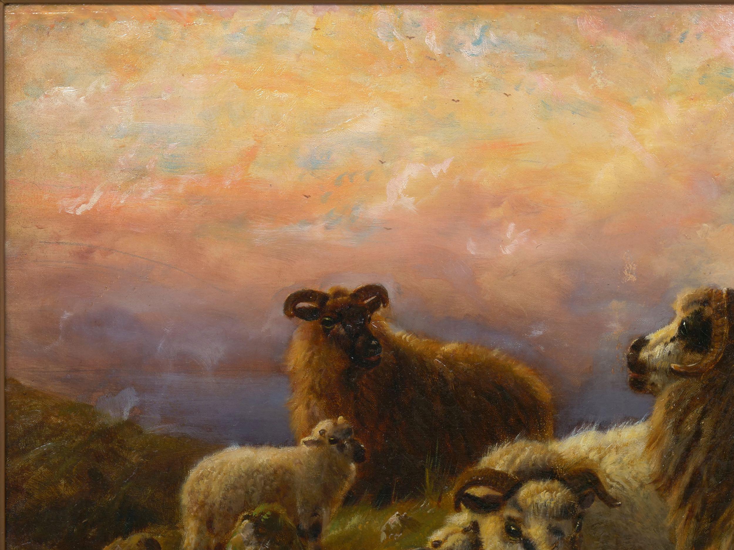 British “Sheep at Rest in the Highlands” '1914' Antique Oil Painting by Robert Watson