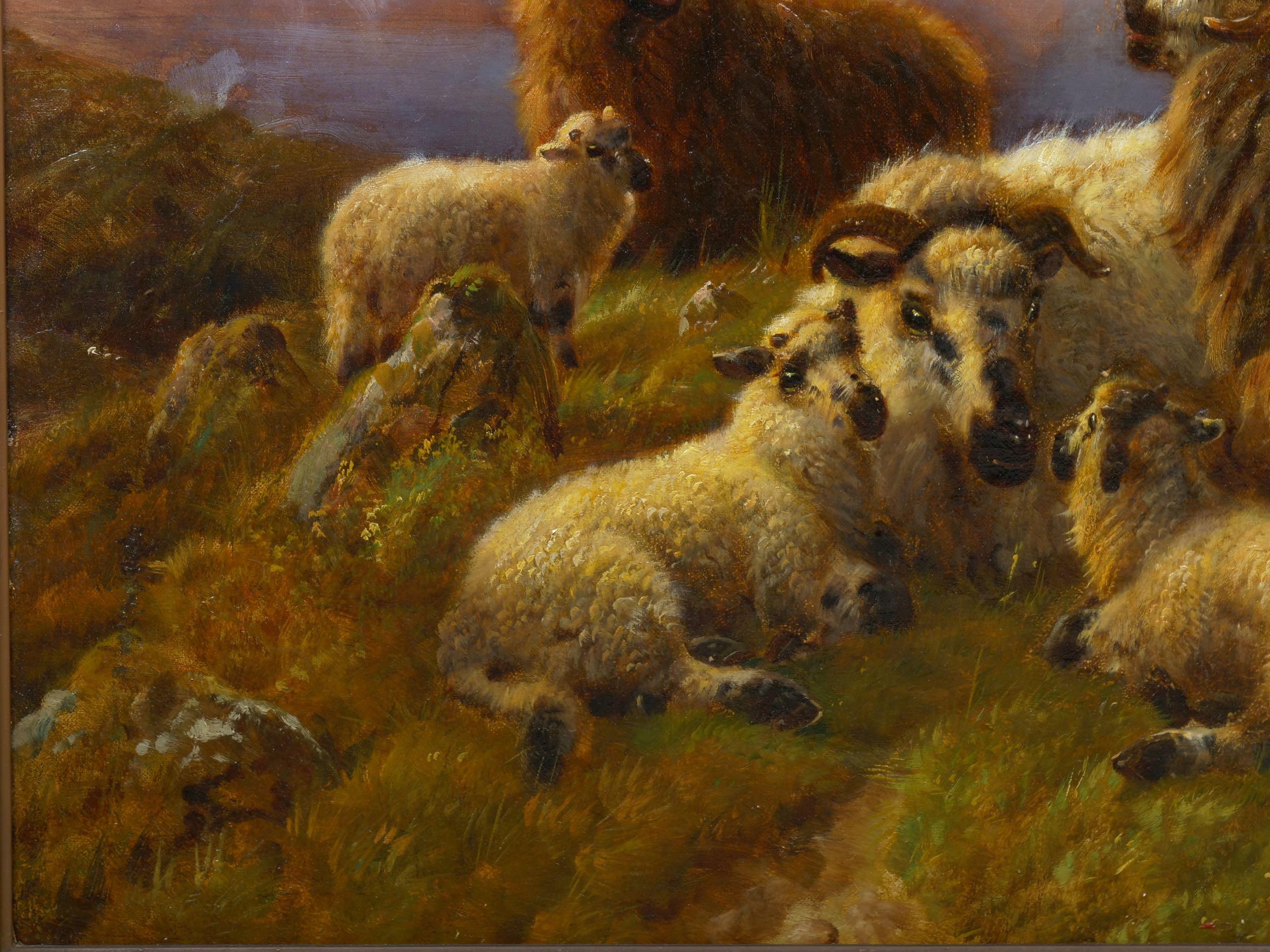 Hand-Painted “Sheep at Rest in the Highlands” '1914' Antique Oil Painting by Robert Watson