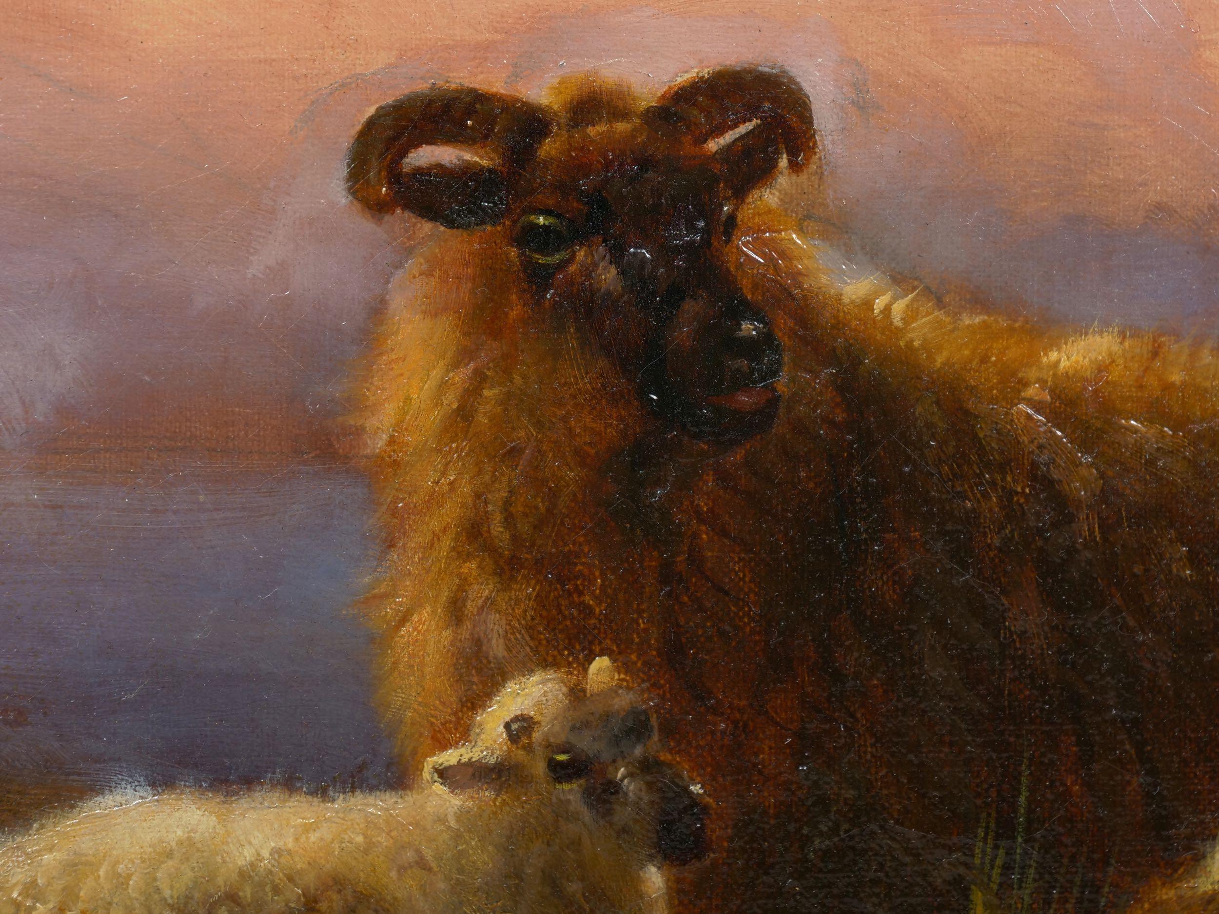 “Sheep at Rest in the Highlands” '1914' Antique Oil Painting by Robert Watson 1