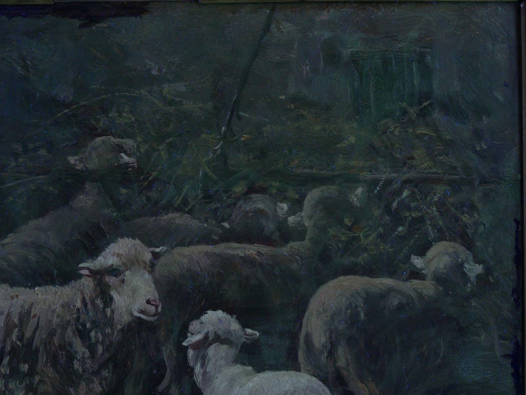 “Sheep in Stable” Antique Barbizon Oil Painting by Albert Charpin 10