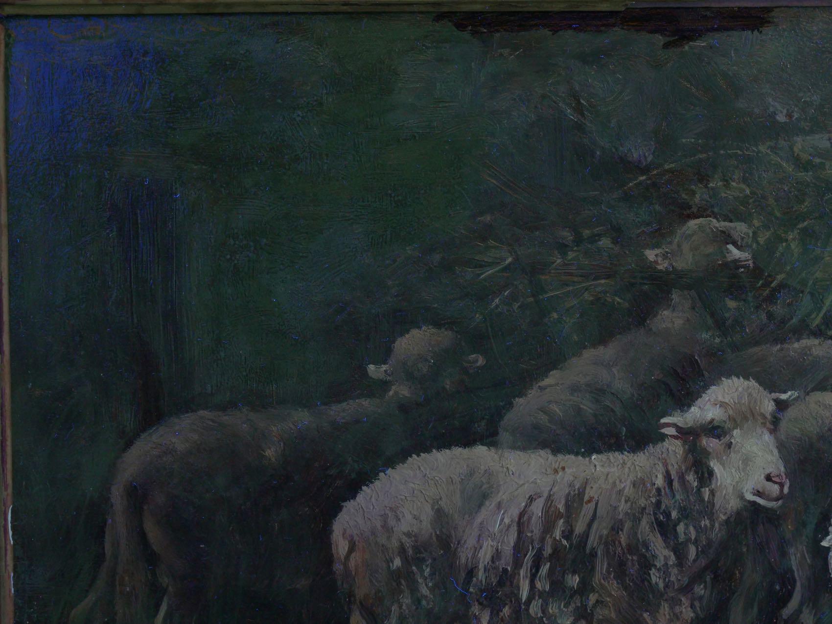 “Sheep in Stable” Antique Barbizon Oil Painting by Albert Charpin 11