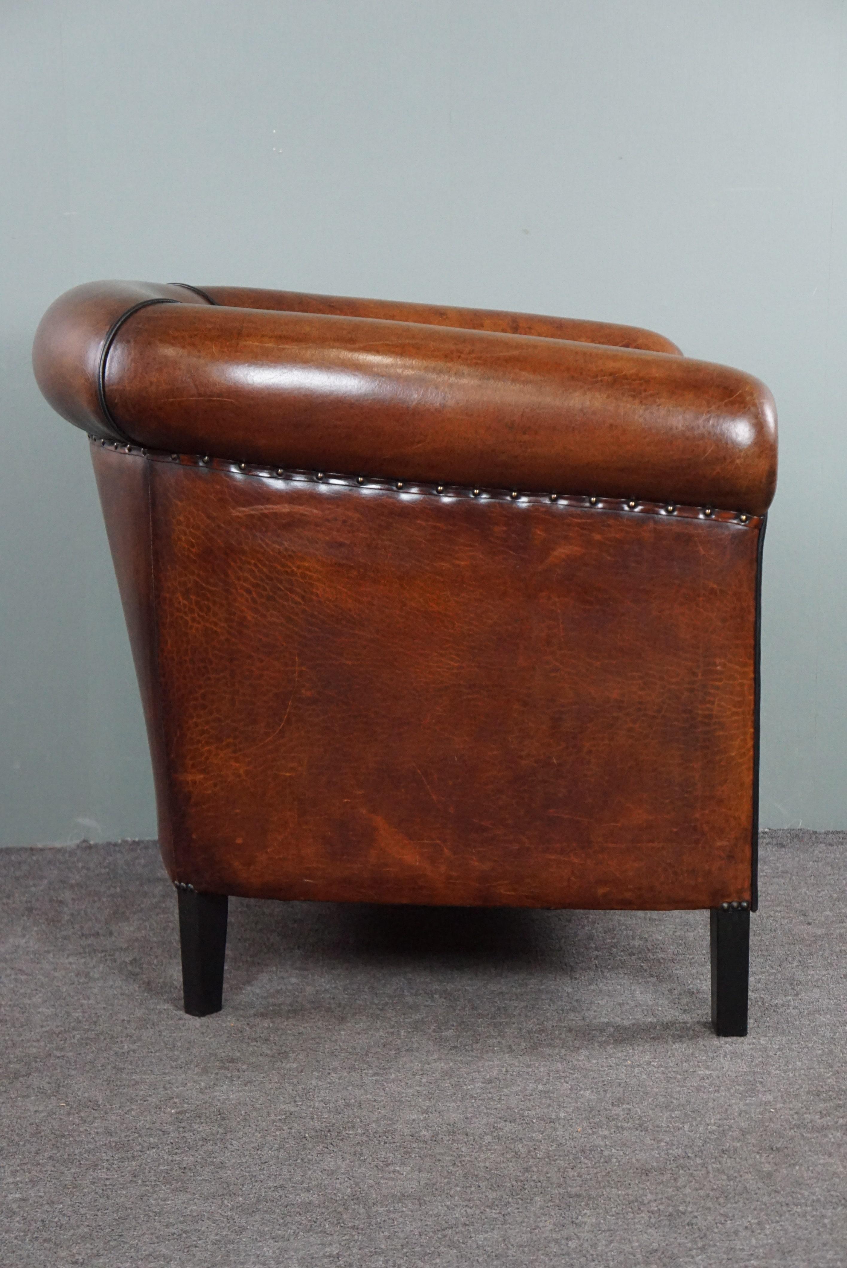 Dutch Sheep leather club chair with black piping and decorative nails For Sale