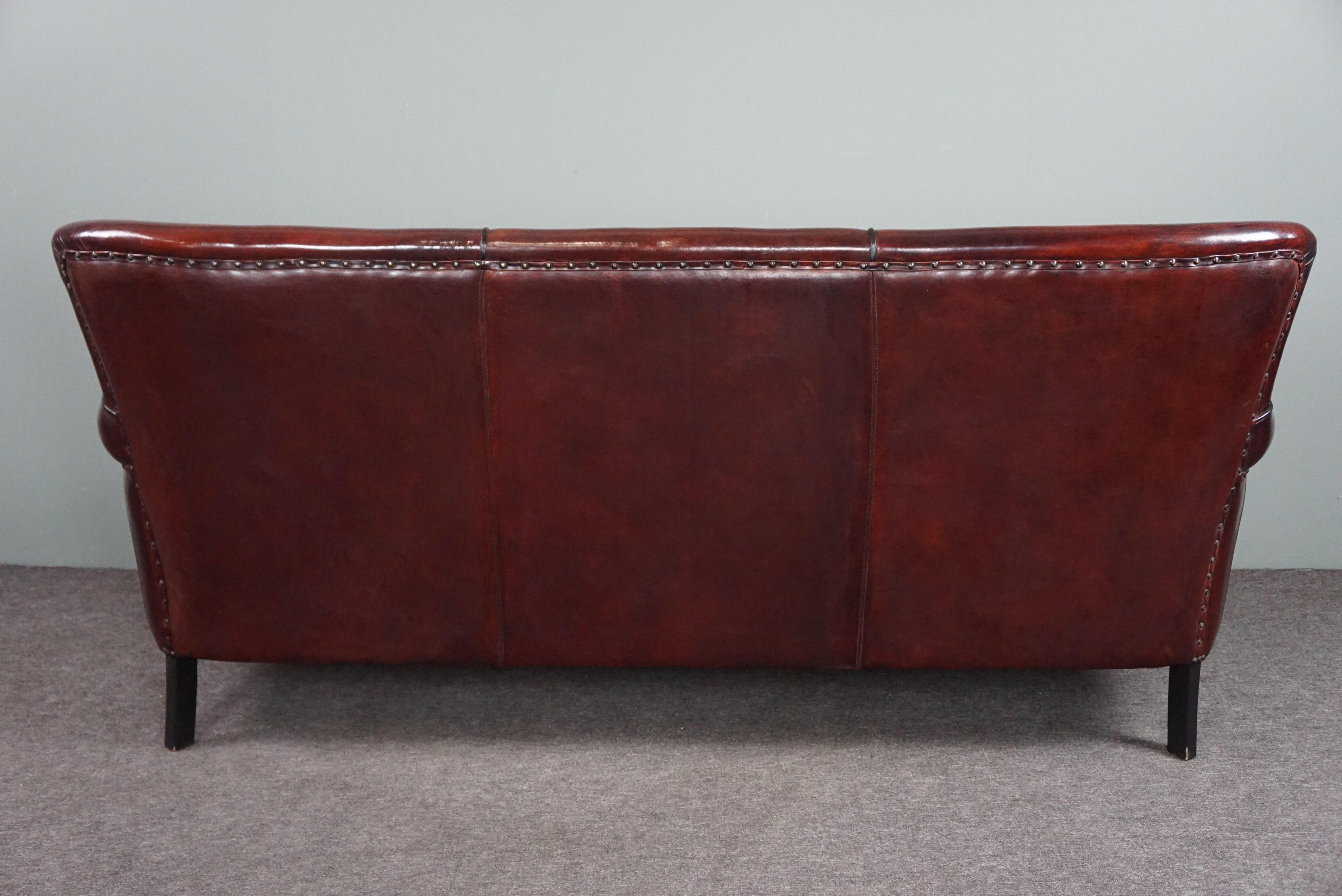 Dutch Sheep leather sofa finished with black piping, 3 seater For Sale