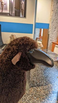 Sheep Sculpture, Curly Brown Fur, by Hans-Peter Krafft, Germany