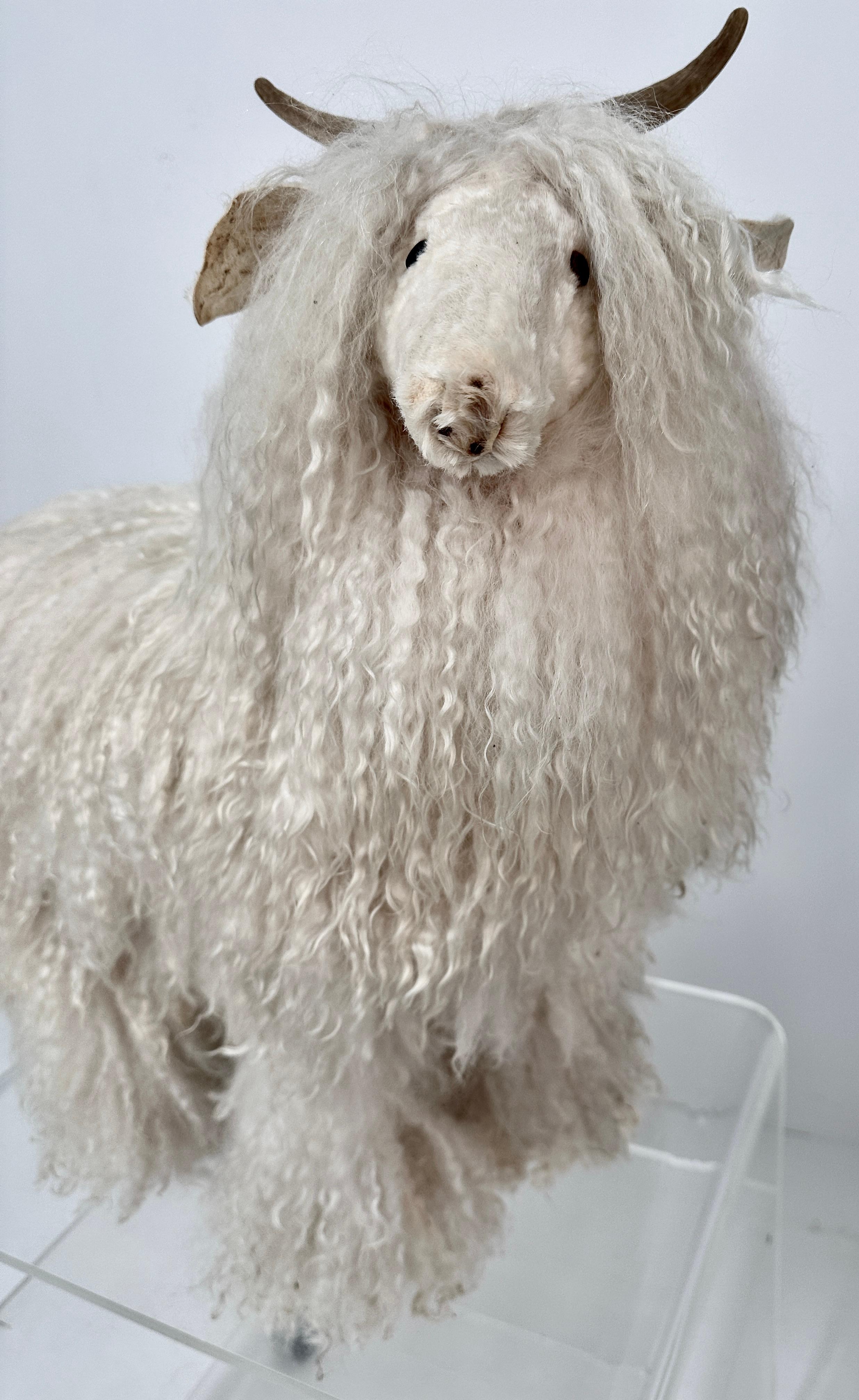 Sheep Sculpture, Handcrafted by New Mexico Artist Ray Growler For Sale 3