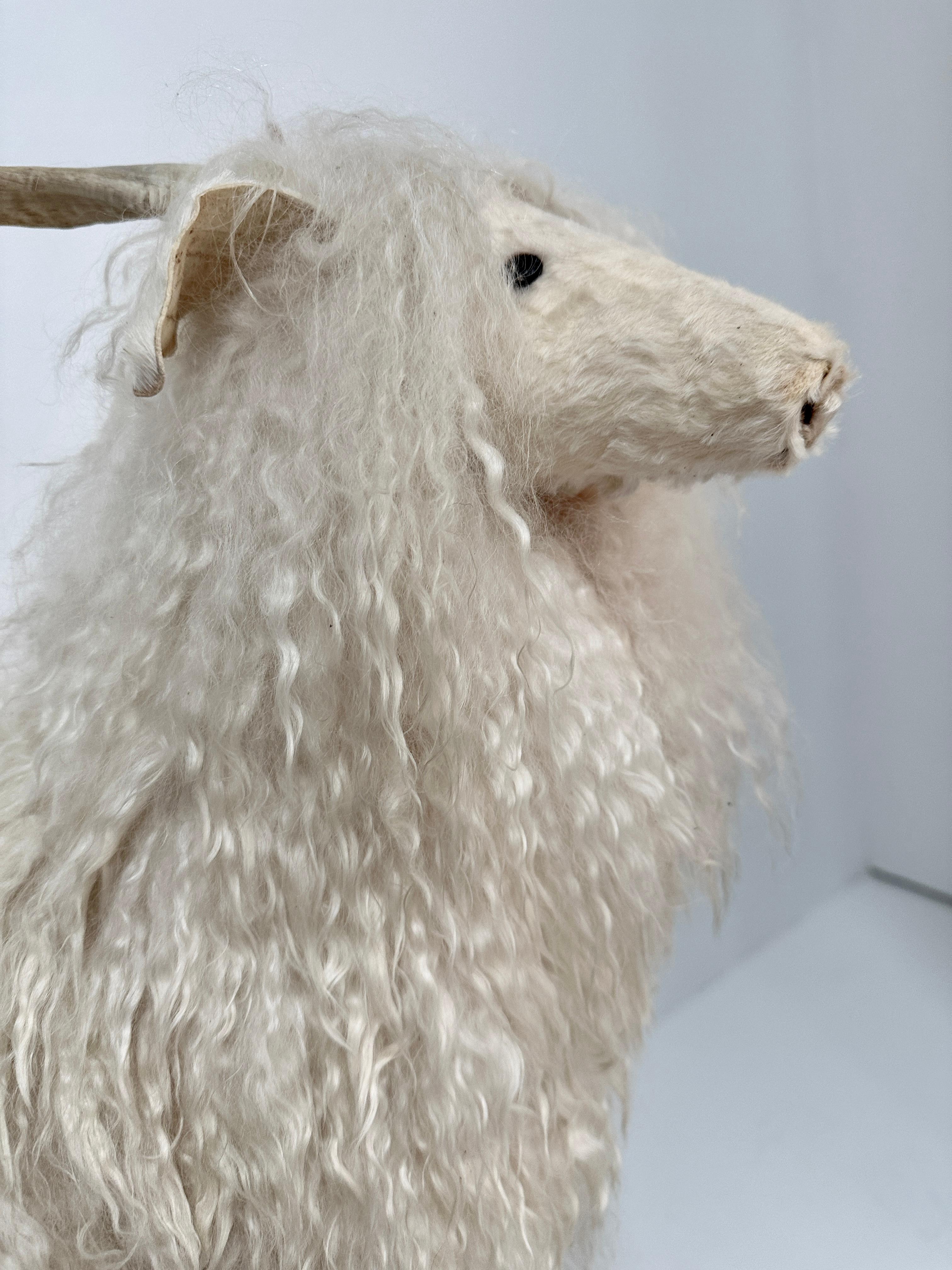 Sheep Sculpture, Handcrafted by New Mexico Artist Ray Growler For Sale 5