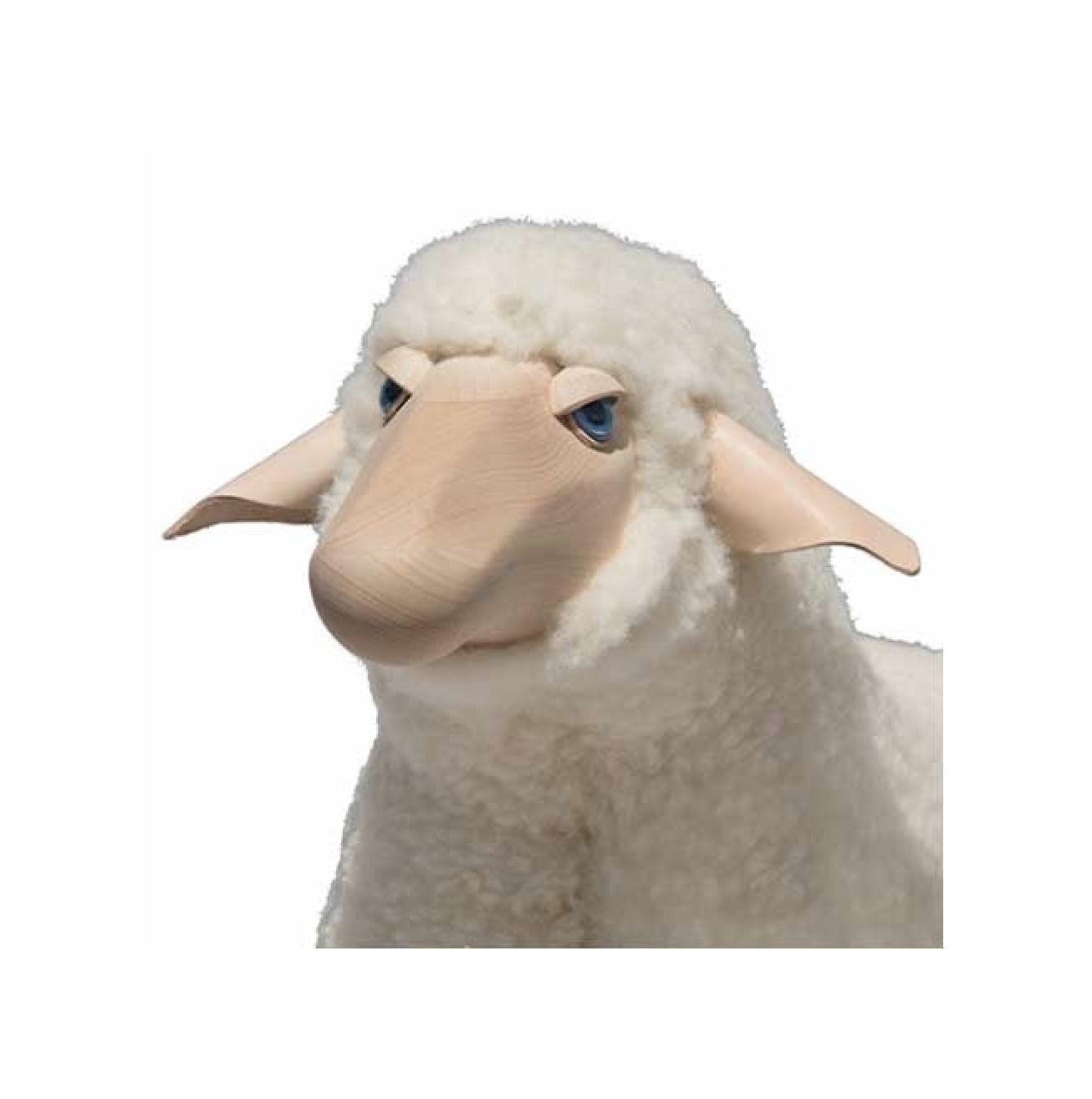 meier germany sheep