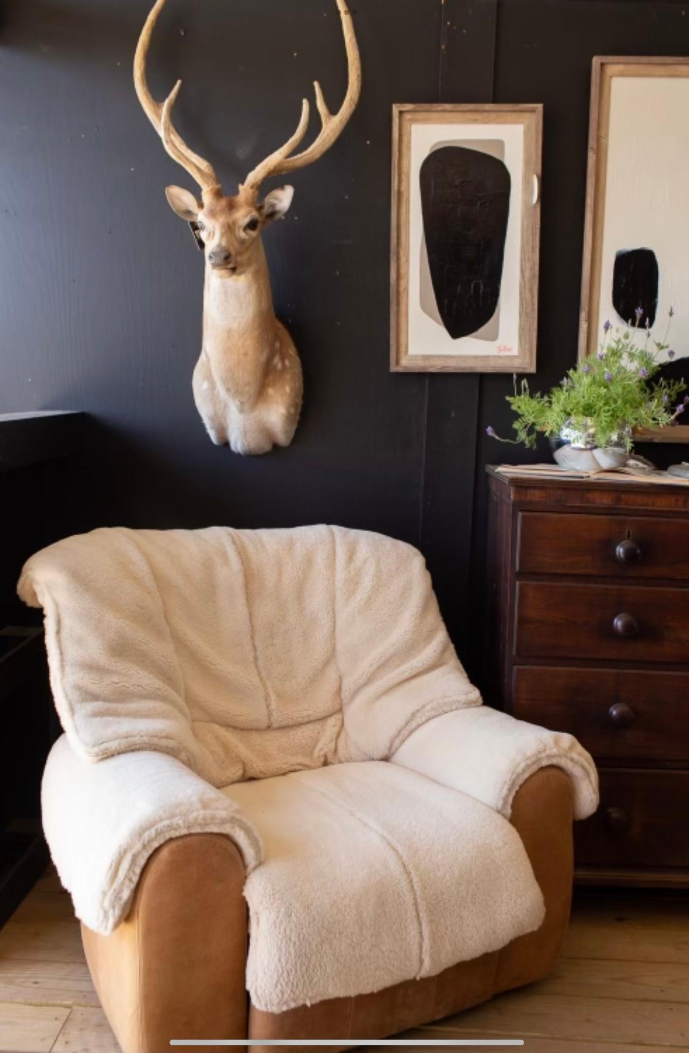 Italian Sheepskin & Leather Alberto Rosselli for Saporiti Italia Style Lounge Chair For Sale